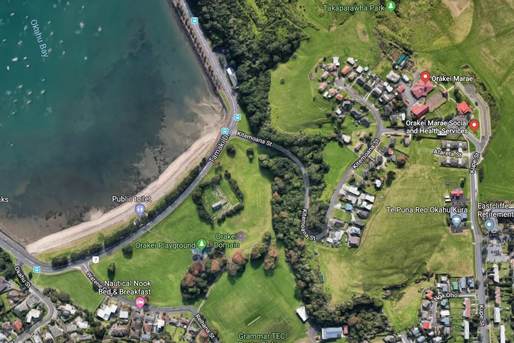 Ōrākei Domain regularly floods, with Tāmaki Dr acting as a barrier and keeping water from flowing to the sea. Photo / Google