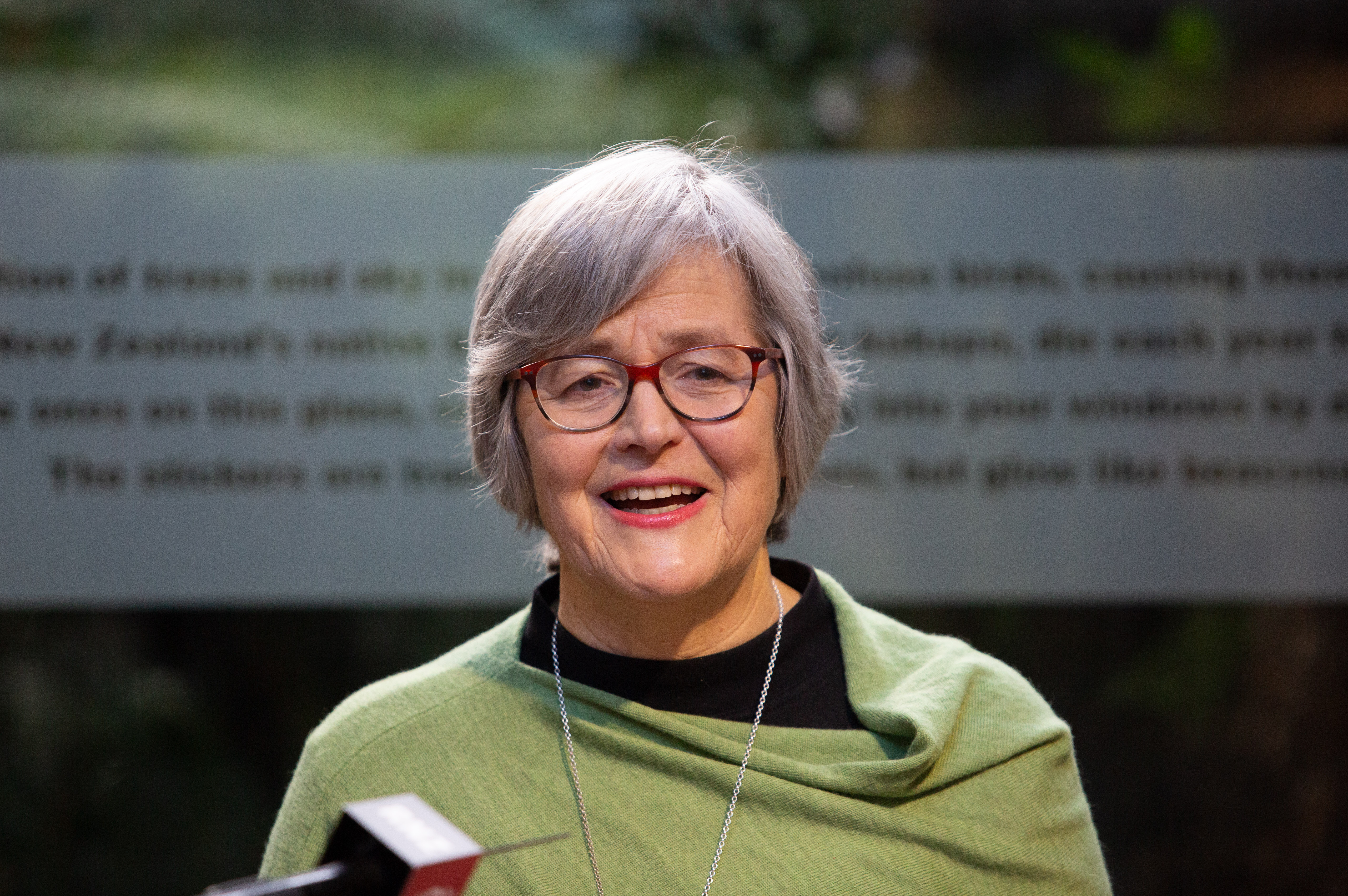 Former Greens Conservation Minister Eugenie Sage is retiring but her old portfolio could go to the Greens again. Photo / Sylvie Whinray