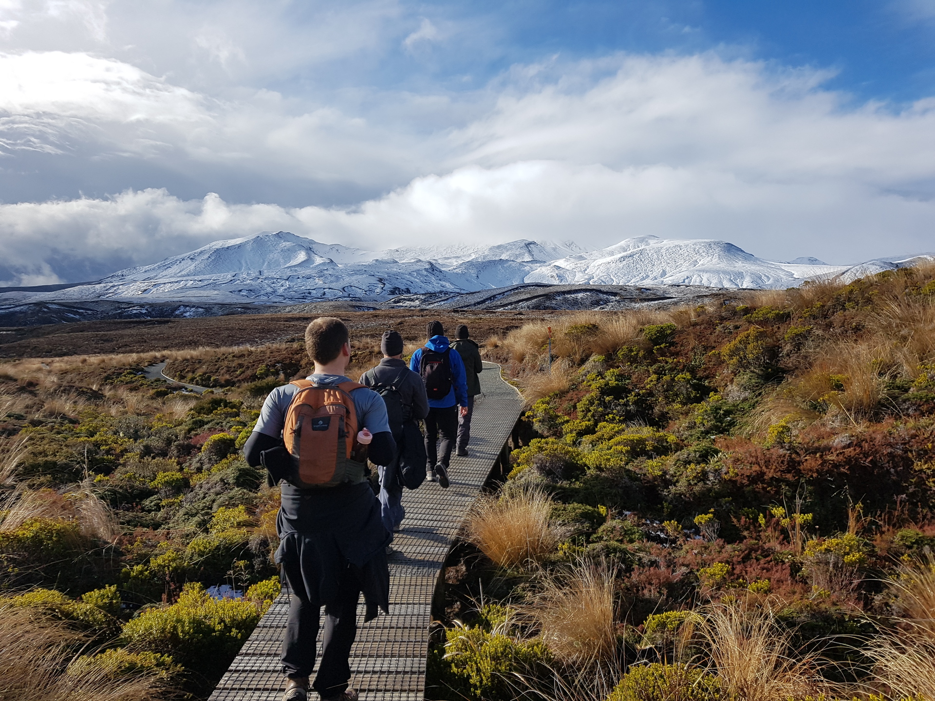 Get a taste of the Tongariro Northern Circuit on Adrift Tongariro's guided half-day Volcanic Explorer Tour. Photo / Cameron Chafin