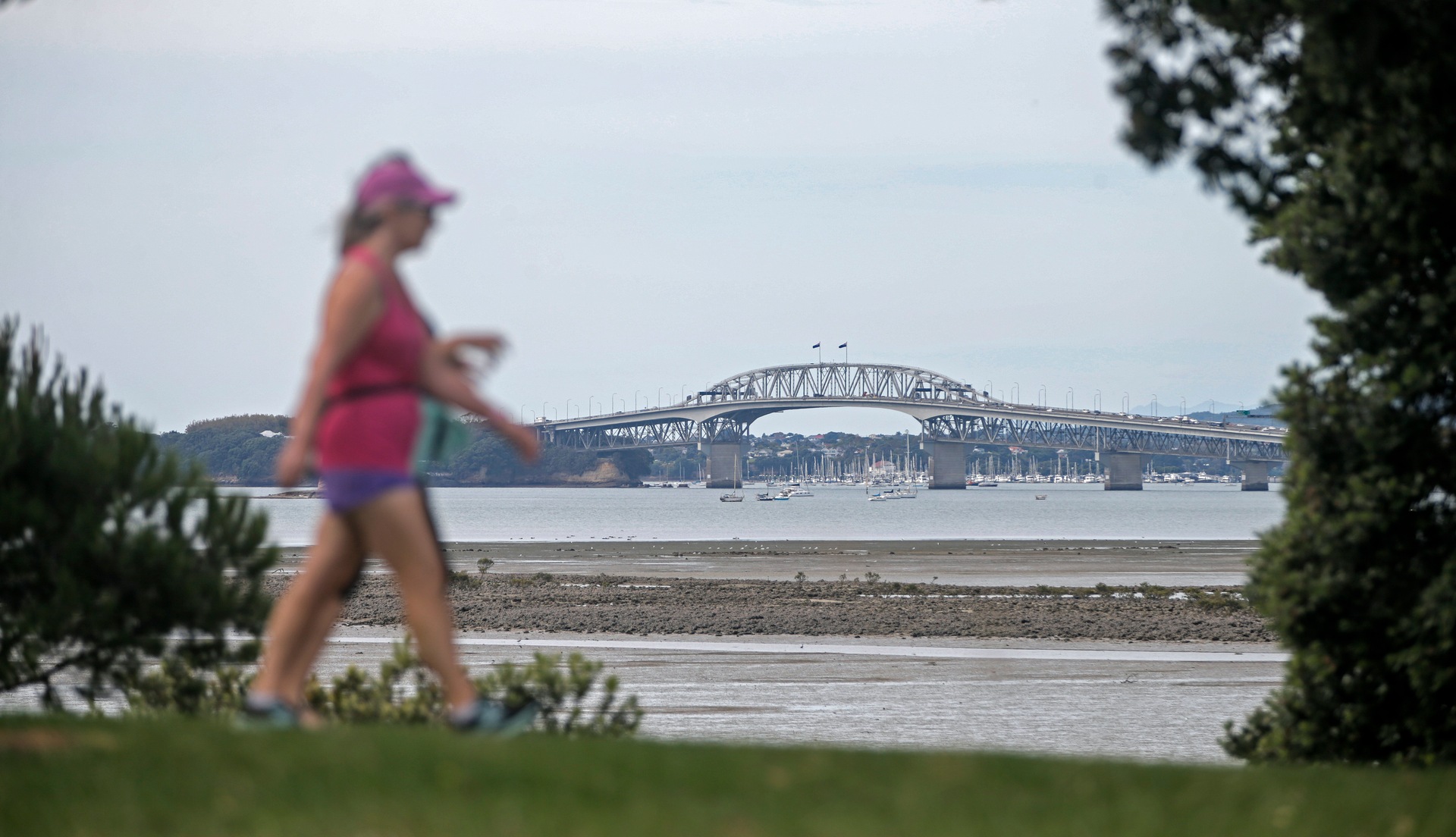 Those in the system say there's still a huge gulf between the high-level ambitions for mental health and the daily reality for hundreds of thousands of Kiwis. Photo / Alex Burton