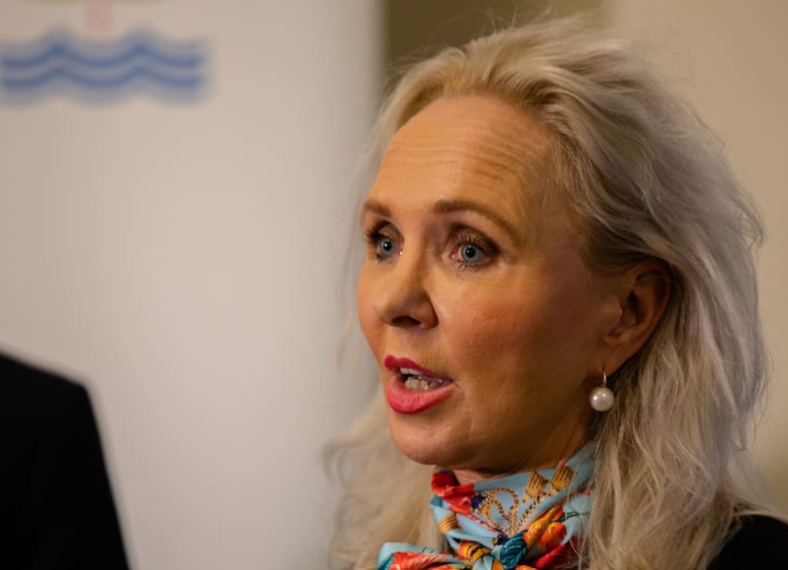 Auckland Deputy Mayor Desley Simpson. Photo / RNZ, Dan Cook