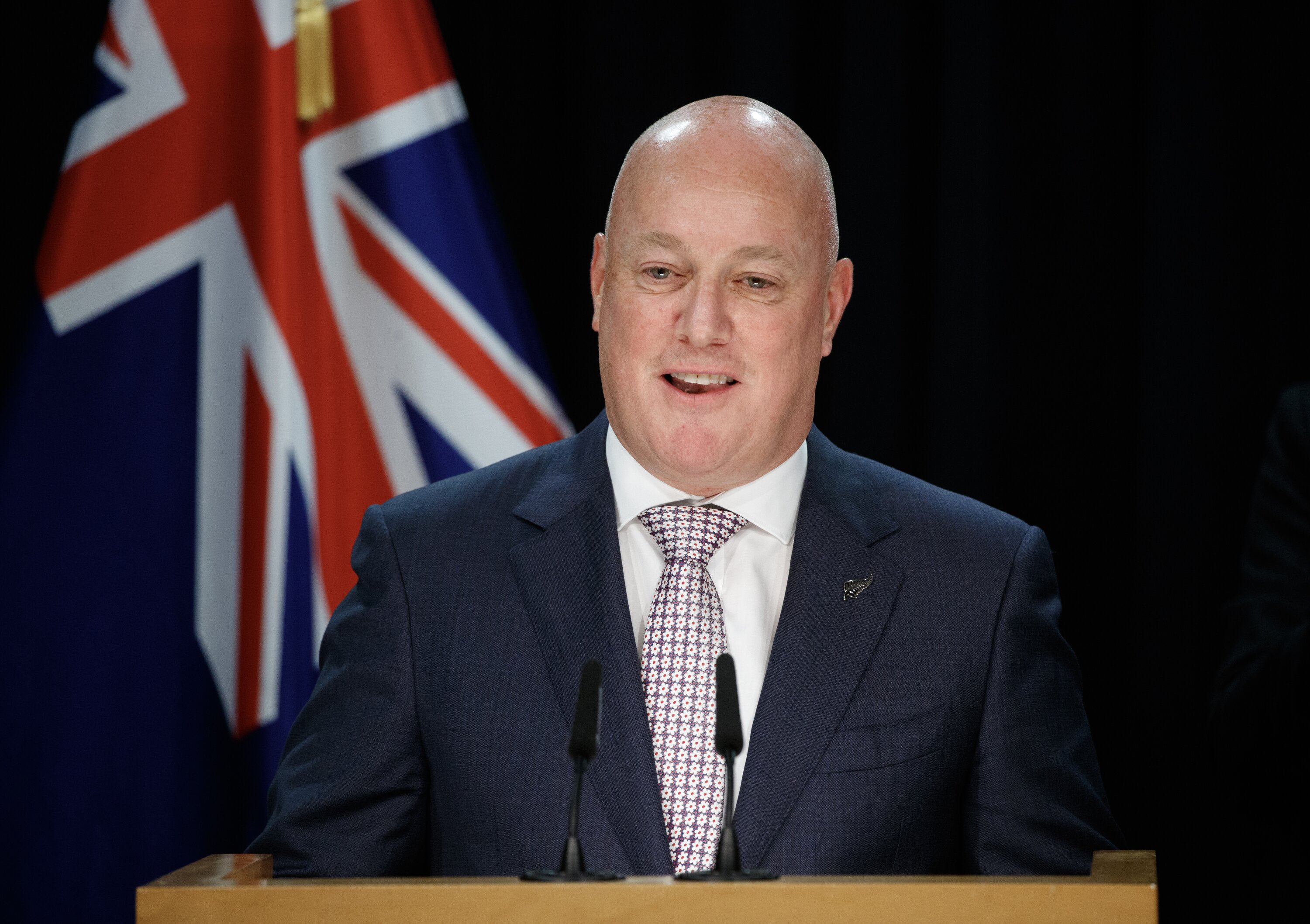 Prime Minister Christopher Luxon. Photo / Mark Mitchell.