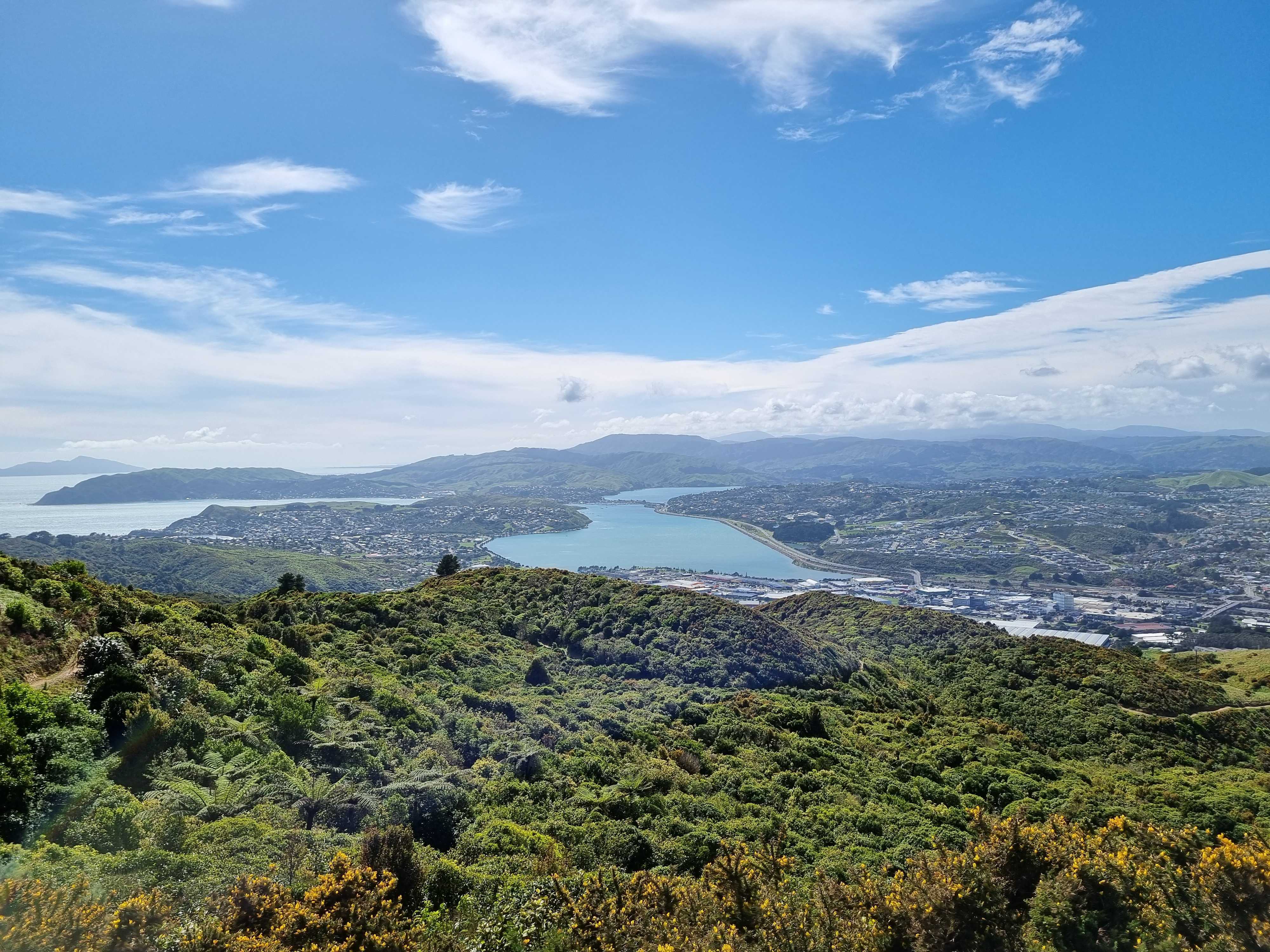 Porirua reached 24.1C on Tuesday afternoon. Photo / Adam Cooper