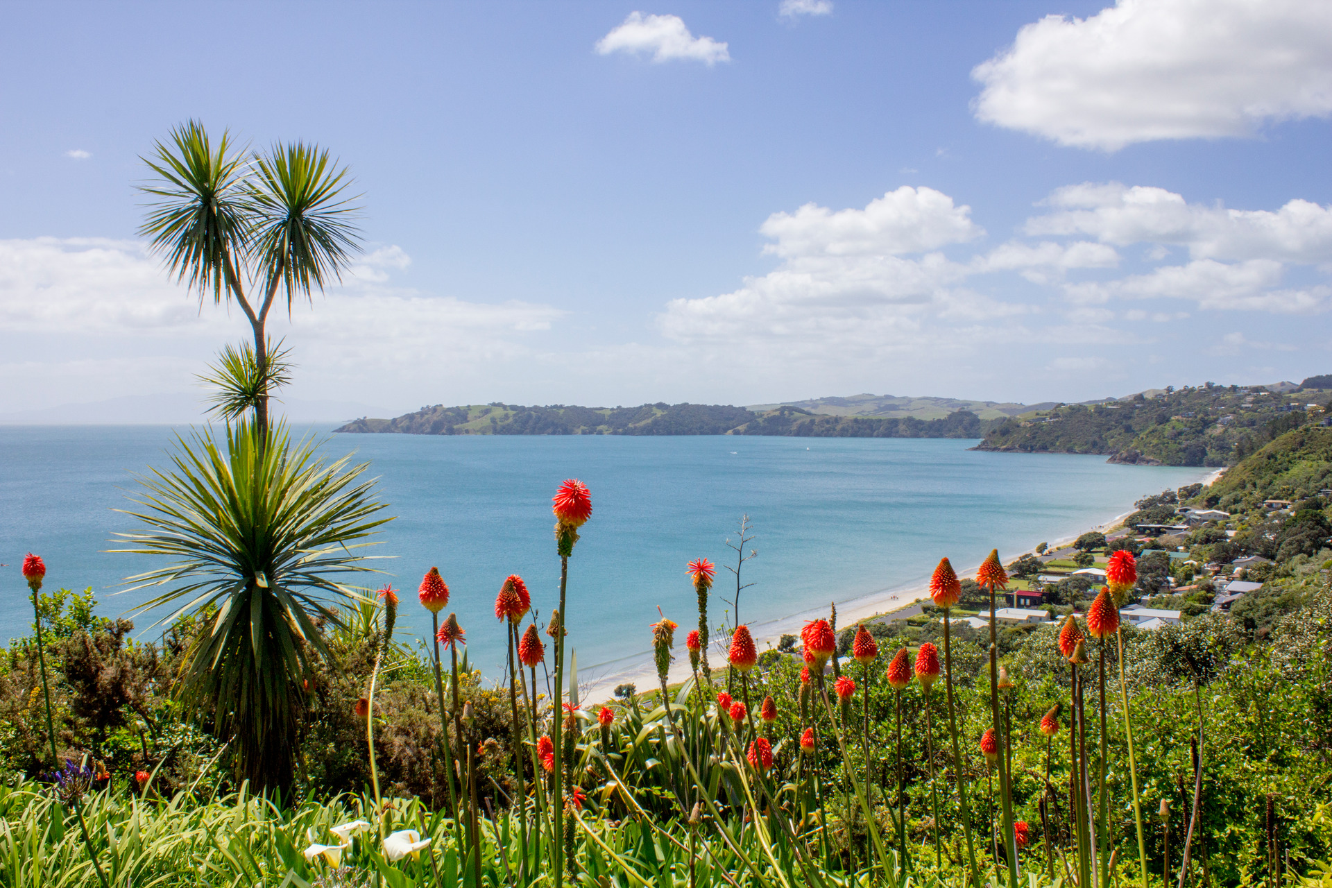 New Zealand's Best Beach: Waiheke's Onetangi and Taupō Bay in the Far North - NZ Herald