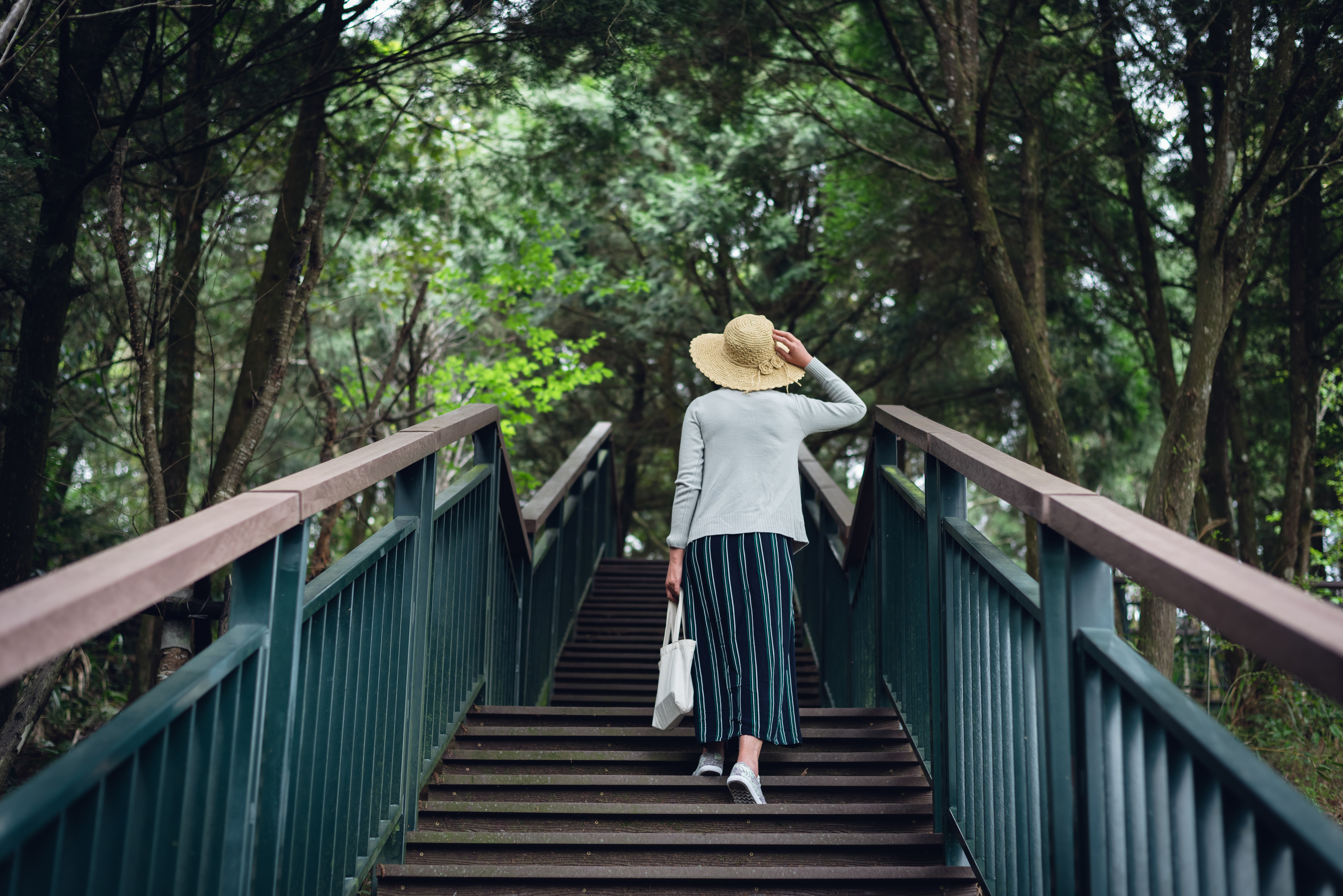 One of the most basic measures of physical fitness is your functional fitness: your ability to perform daily activities - such as walking, bending, lifting, reaching and climbing stairs - without pain or discomfort. Photo / 123RF