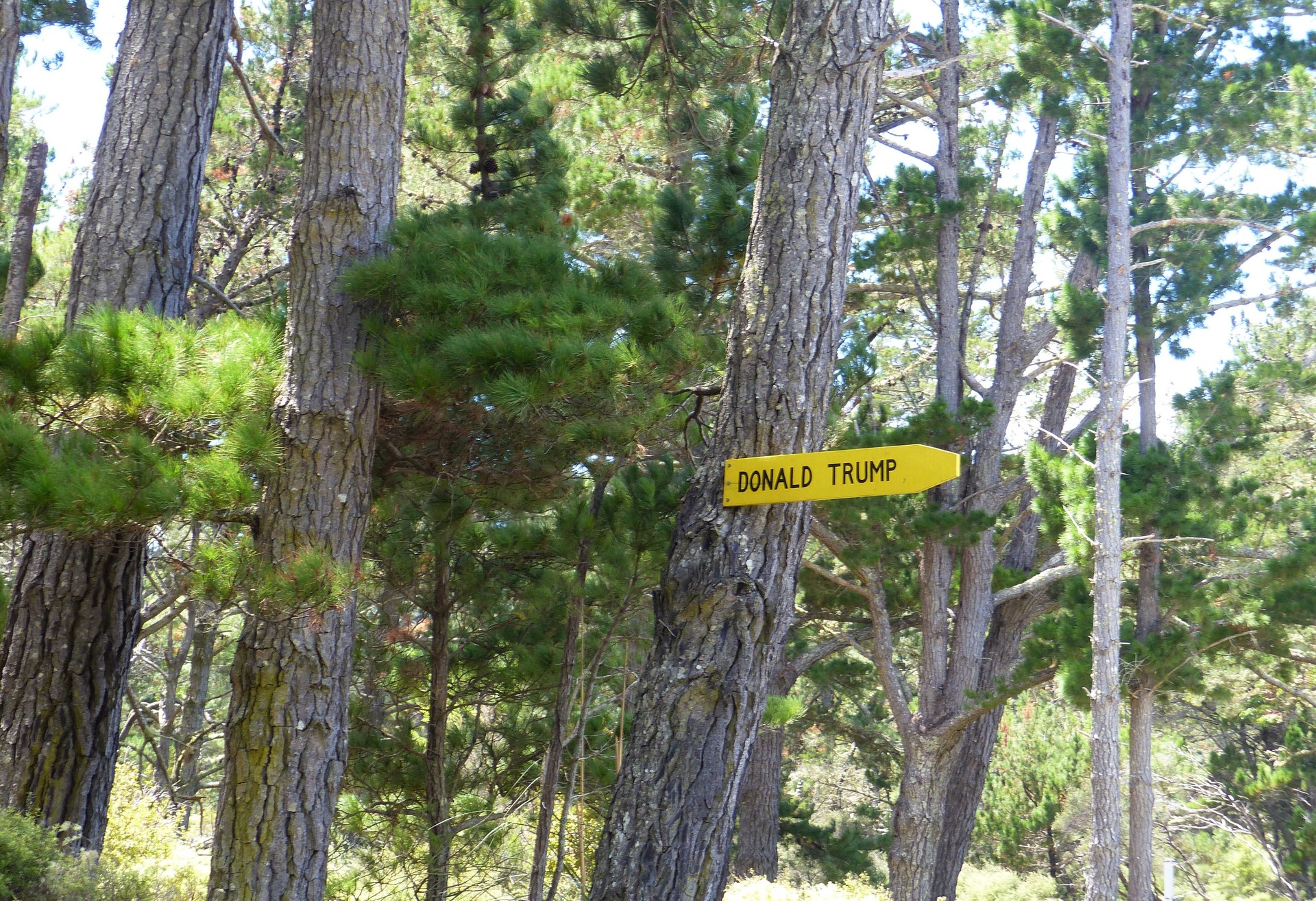 The sign across the road from the rubbish dump. Photo / Audrey Young