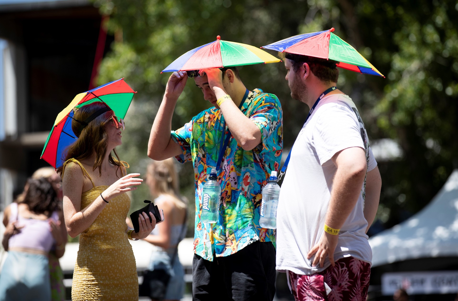 Revellers used every way possible to stave off the heat on a blisteringly hot Anniversary Day. Photo / Dean Purcell, New Zealand Herald