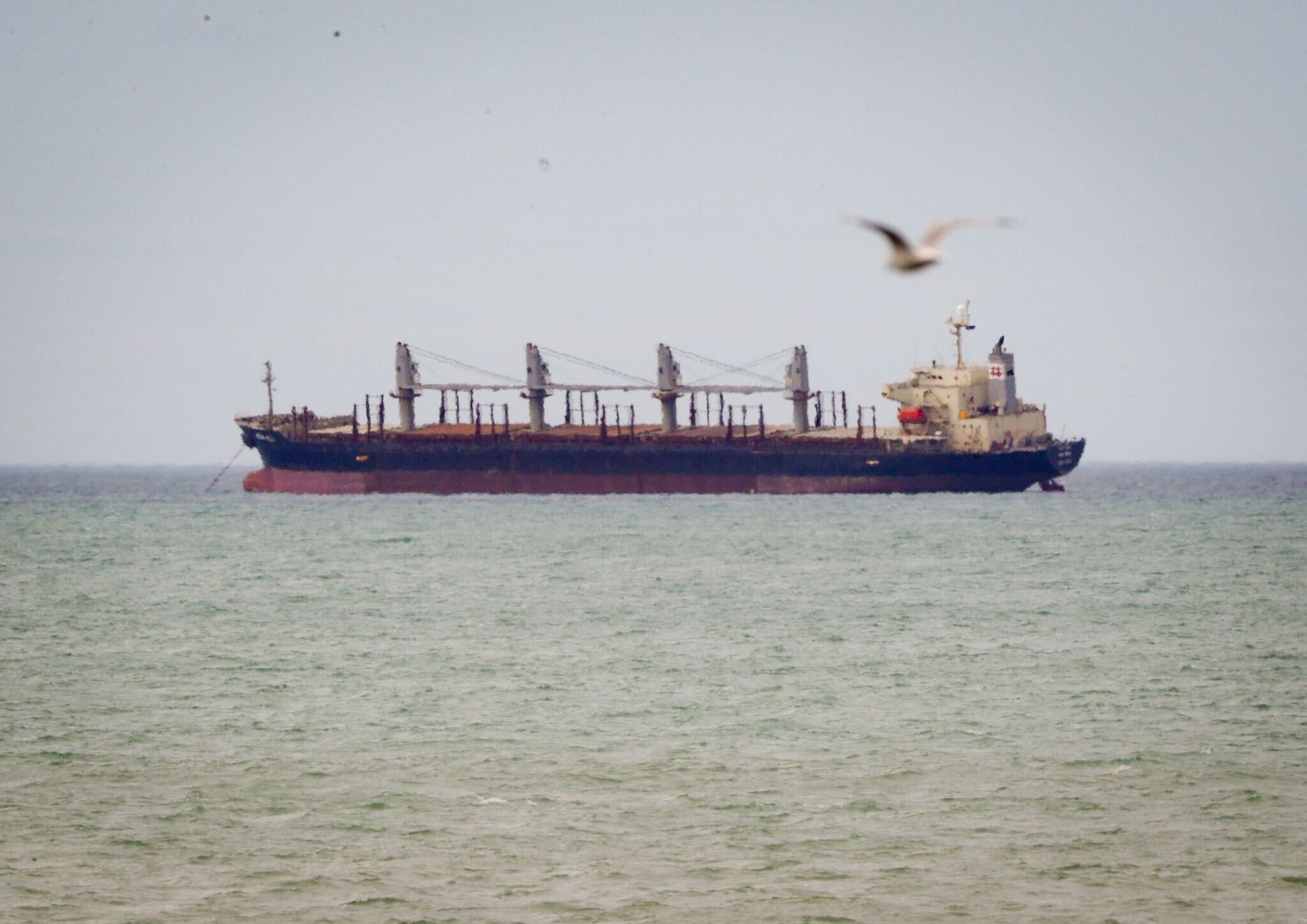 Ken Rei log ship anchored offshore of Napier. The vessel is linked to a positive case of Covid-19. Photo / Warren Buckland