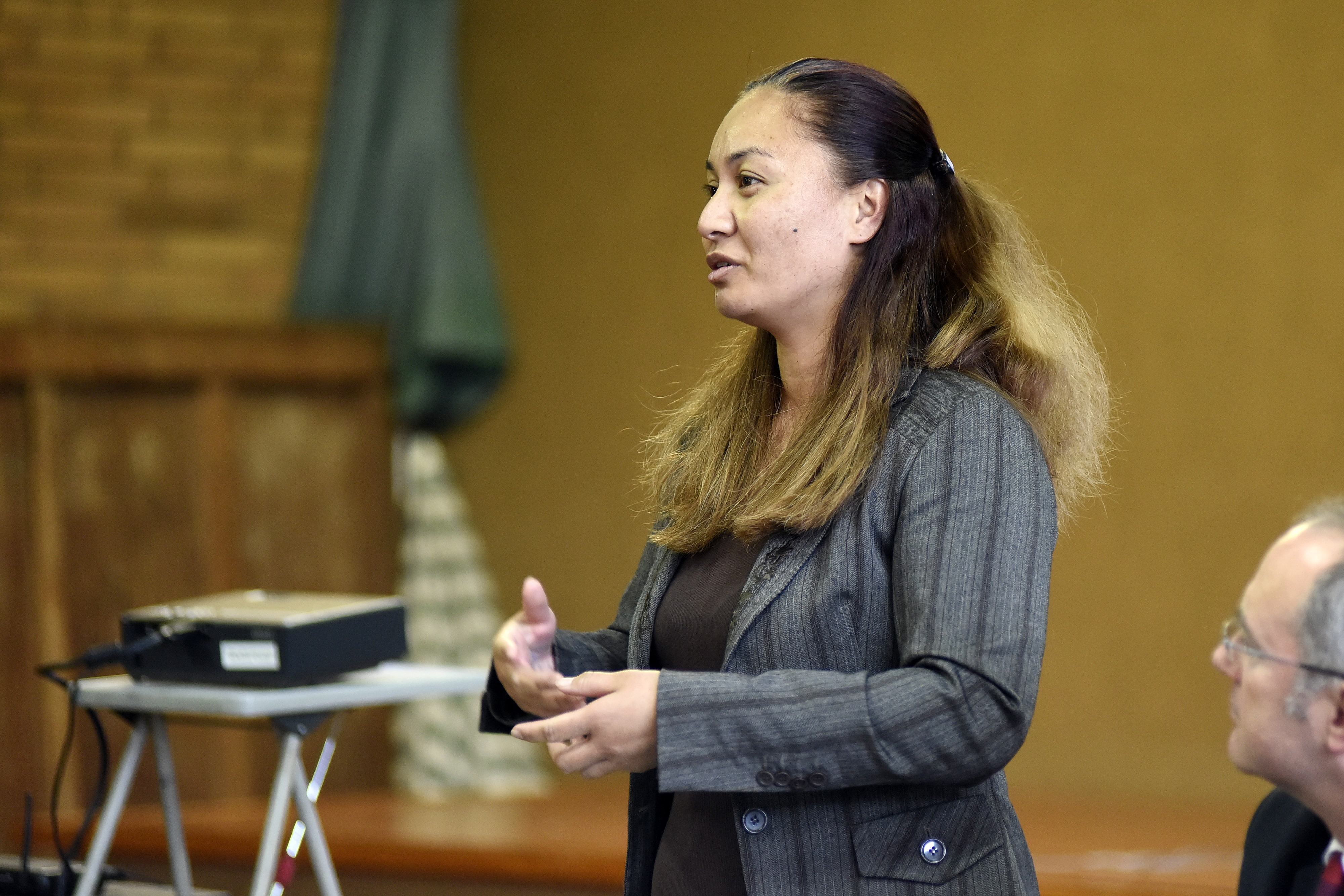 Green Party co-leader Metiria Turei said this morning that MP Marama Davidson has been released from a Tel Aviv detention centre and is believed to be on a plane home to New Zealand. Photo / File