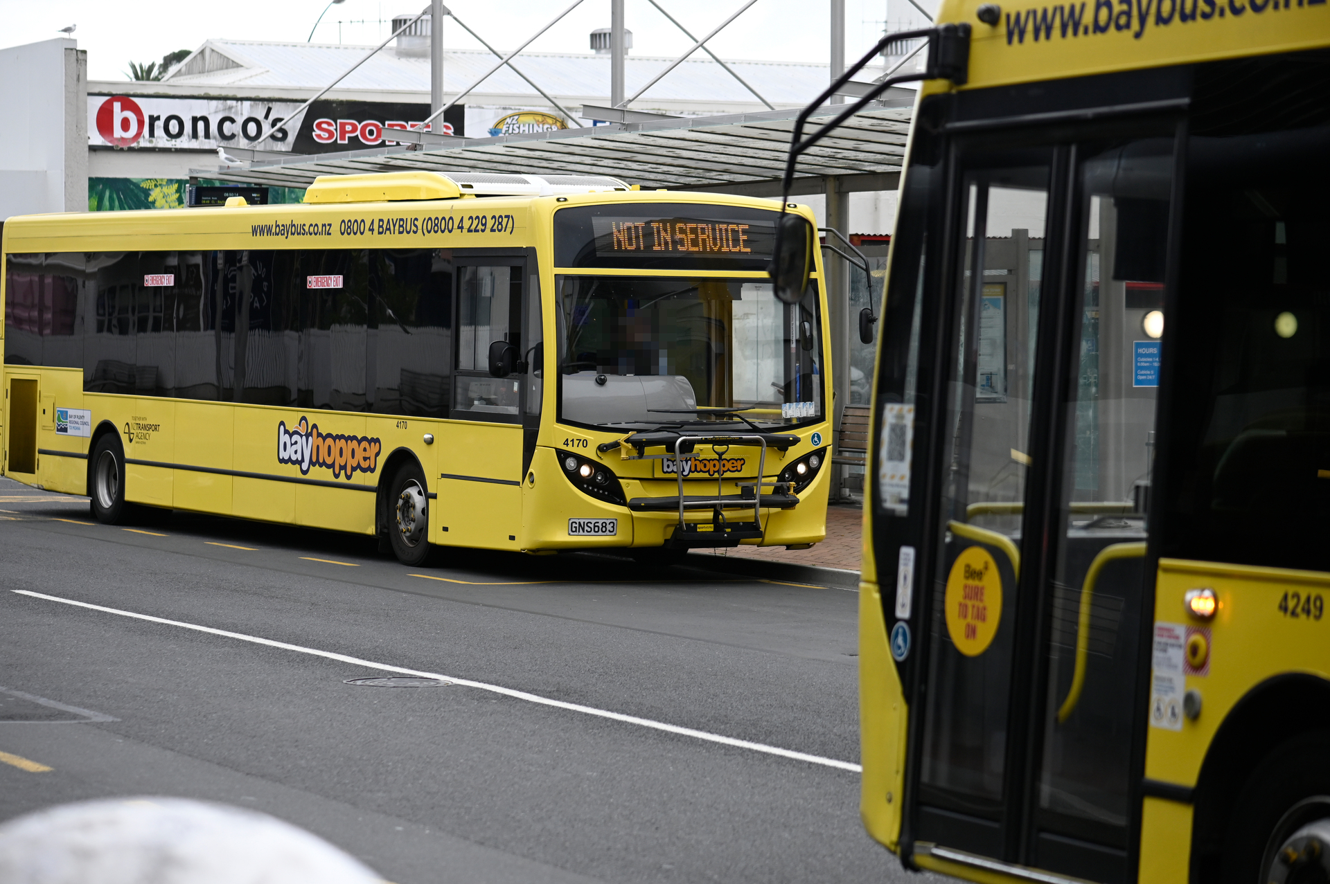 bay bus timetable tauranga