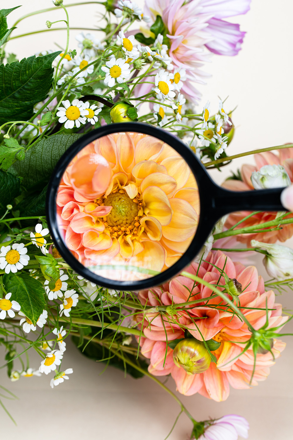 Forgo excessive packaging by buying less and browsing our local brands. Photo / Babiche Martens