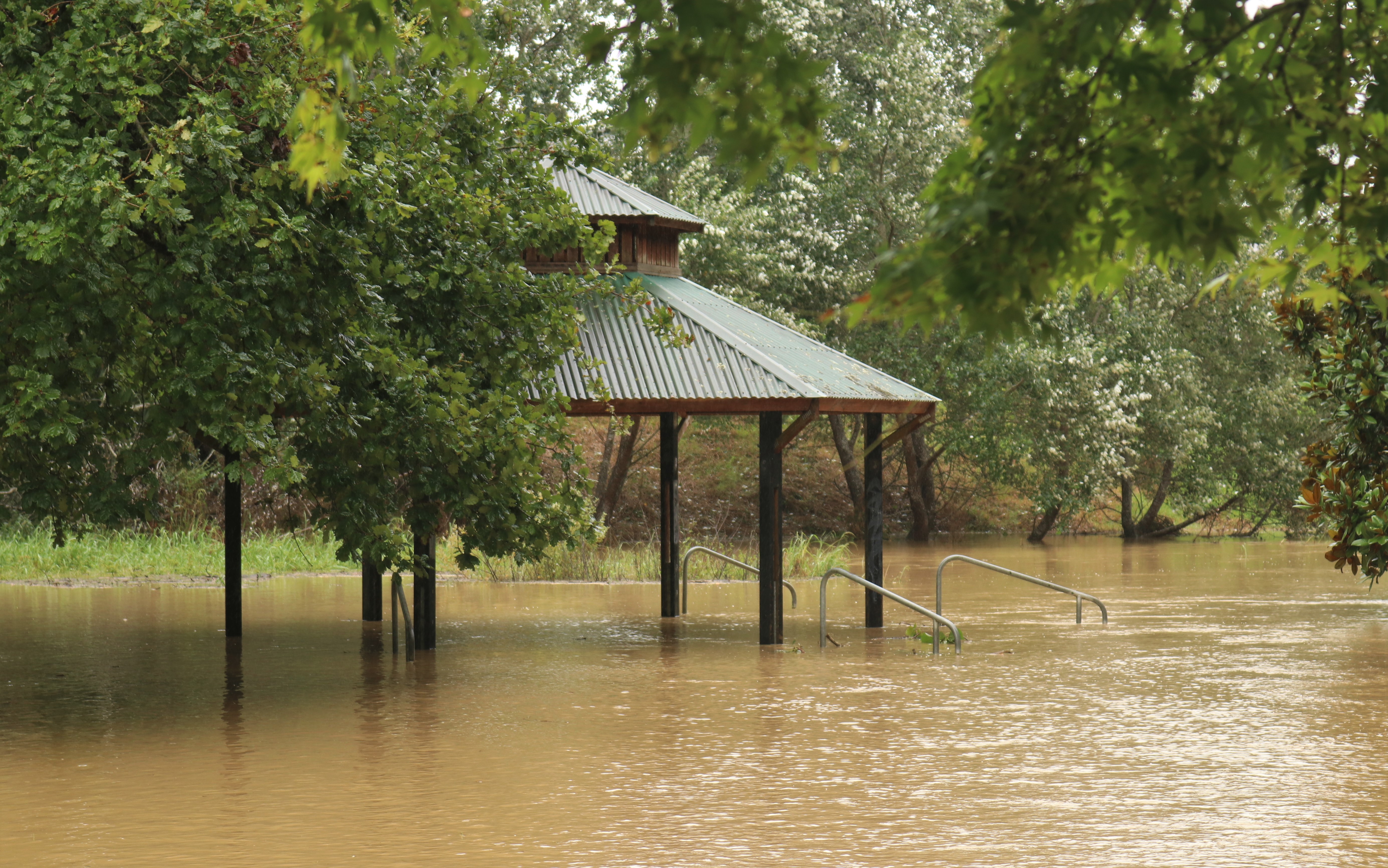 A flooded band rotunda in Kawakawa’s Johnson Park demonstrates the 342mm of rain which fell in Northland over seven days during Cyclone Gabrielle. Photo / NZME