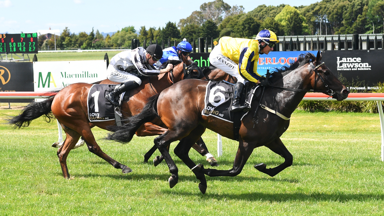 Cheaha winning comfortably on debut at Arawa Park on Wednesday. Photo / Kenton Wright (Race Images)