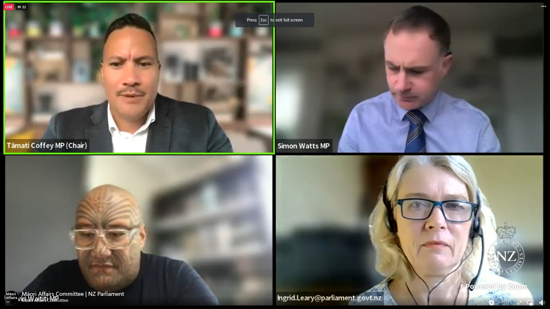 A screengrab of the Māori Affairs Committee meeting. Photo / Parliament