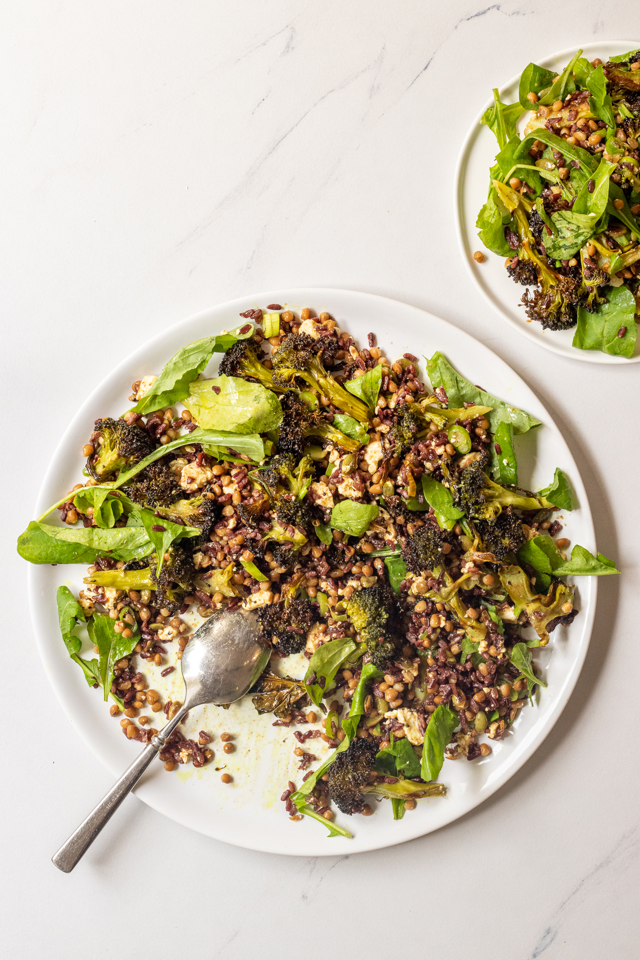 Brown rice, broccoli, feta and halloumi salad
