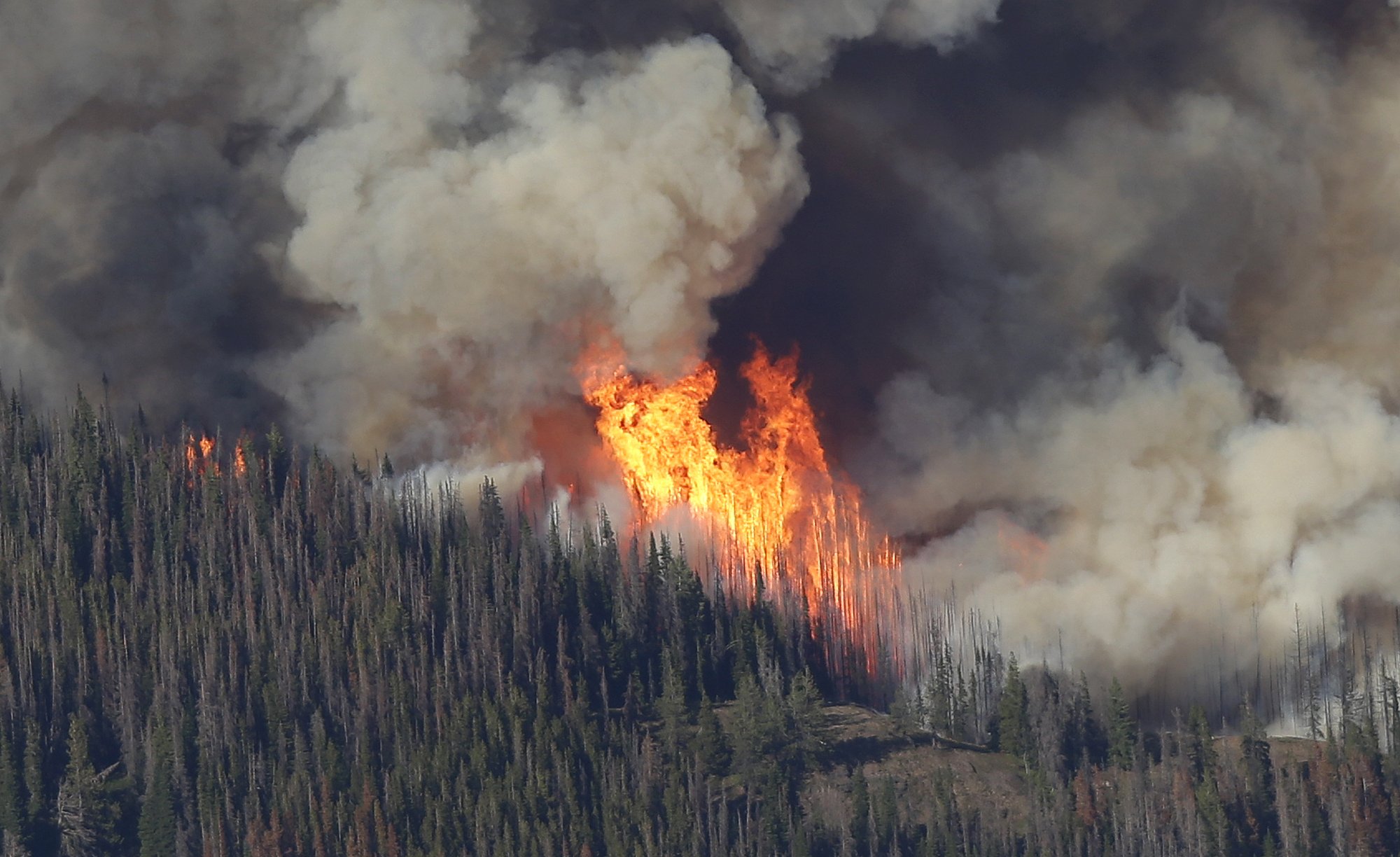 Flames burn trees in the Chiwaukum Creek Fire, as seen from the air, July 17, 2014, near Leavenworth, Wash. Climate change has amplified the threats faced by national forests in the US from wildfires, insects and disease. Photo / AP