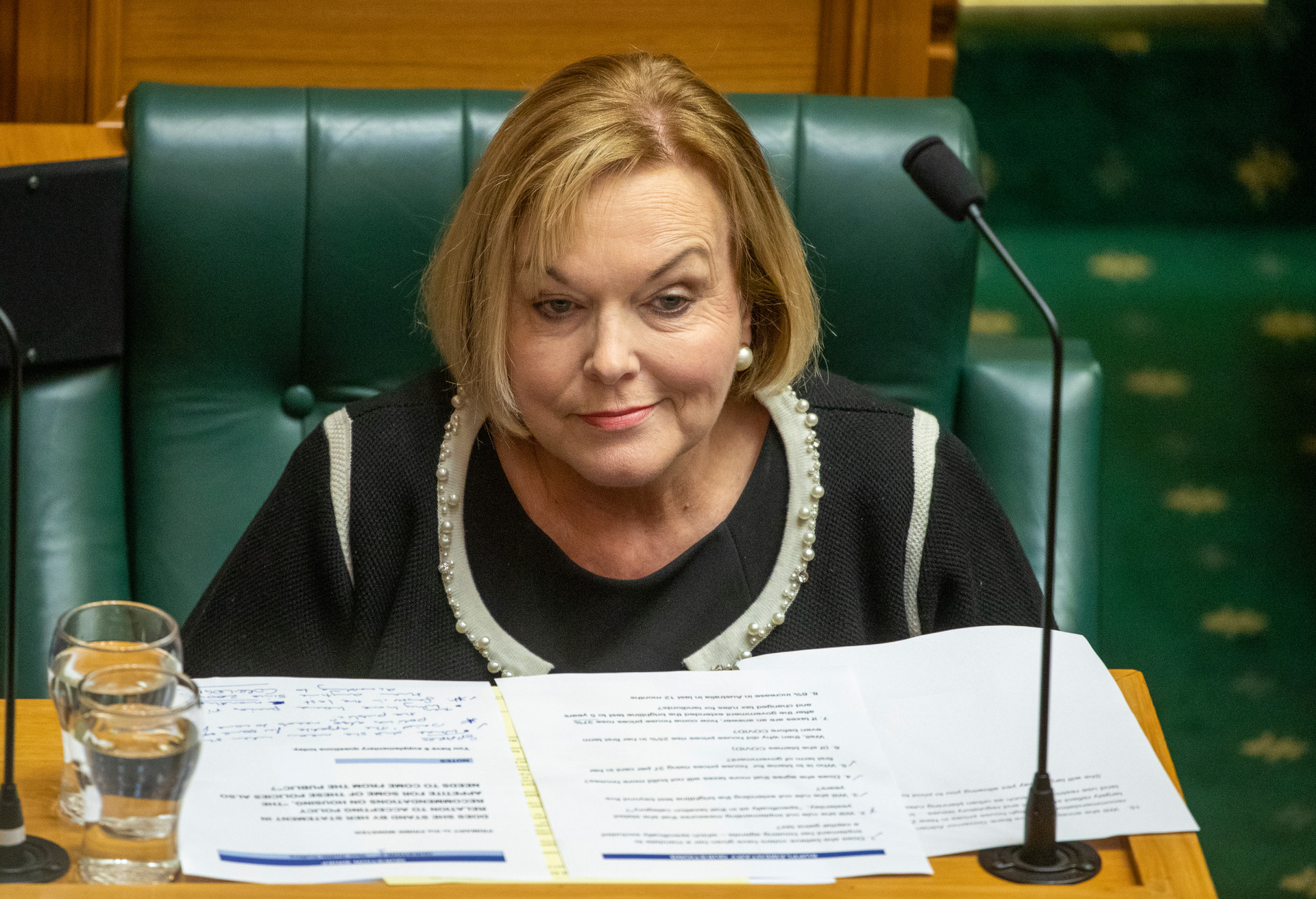 National leader Judith Collins says the Government is being wasteful. Photo / Mark Mitchell