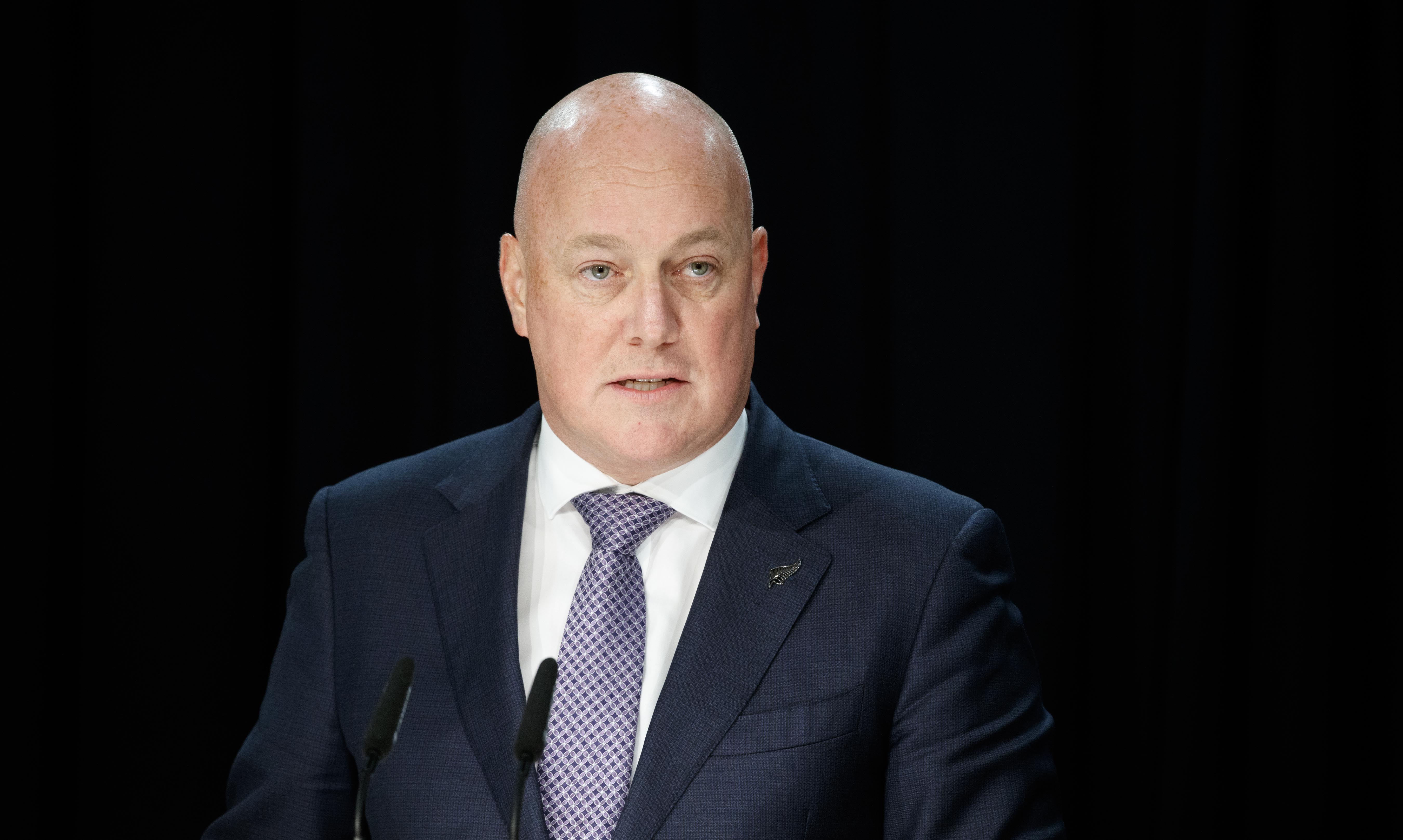 Prime Minister Christopher Luxon. Photo / Mark Mitchell 