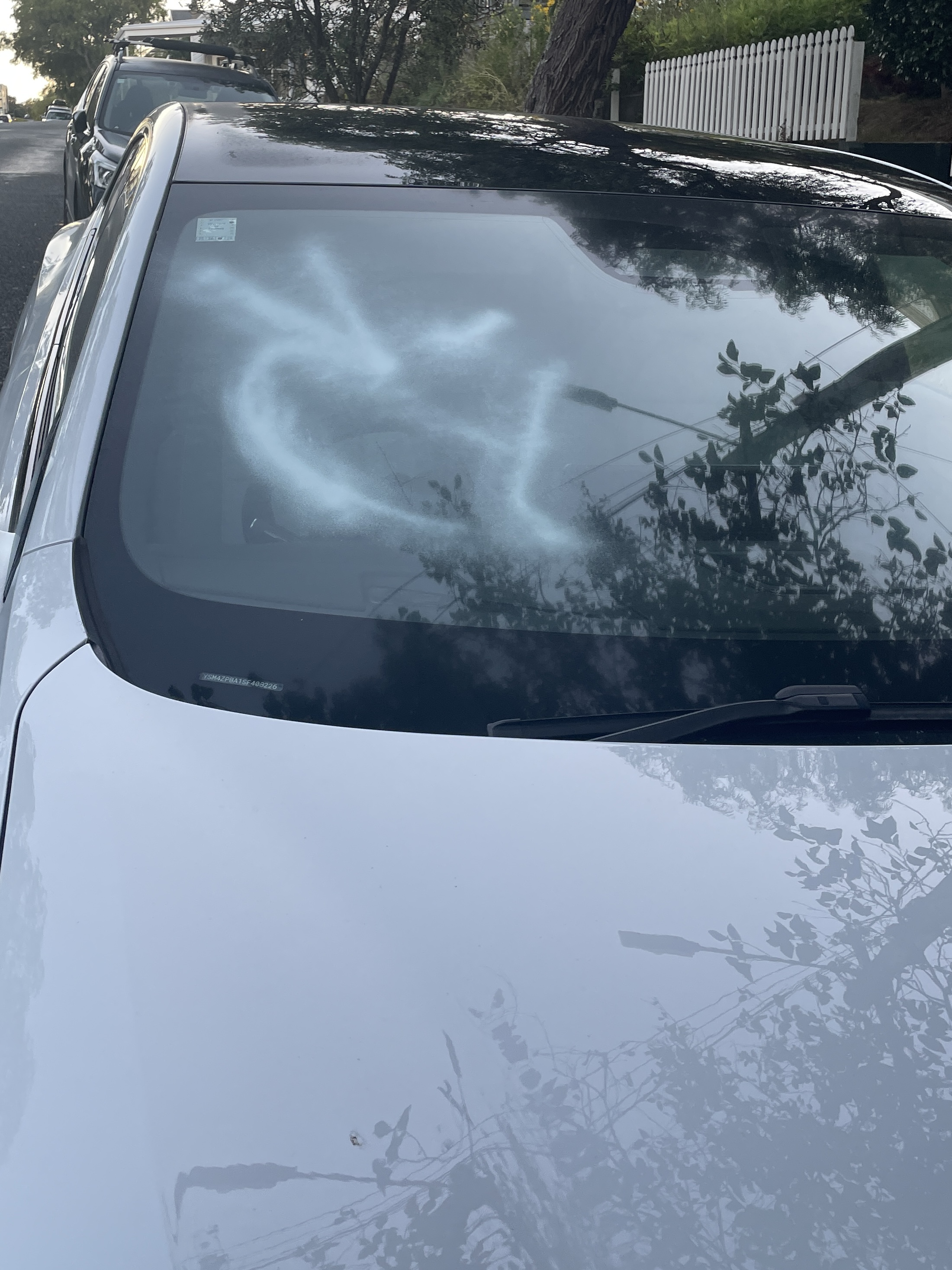 The owner of a Polestar in Grey Lenn saidshe believes her car was mistaken for a Tesla before it was vandalised.