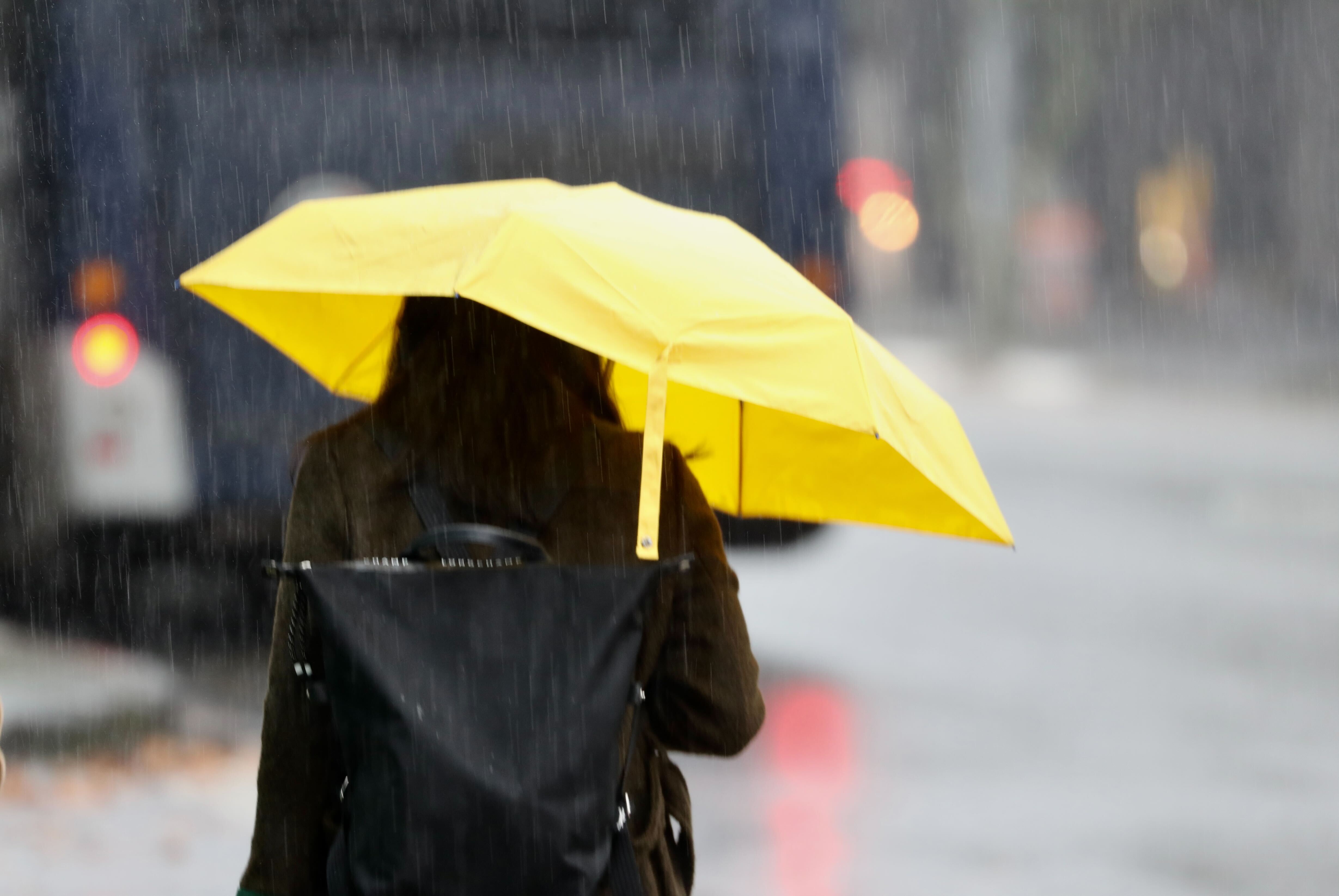 Wet, wintery weather in Auckland on August 8, 2023. Photo / Michael Craig