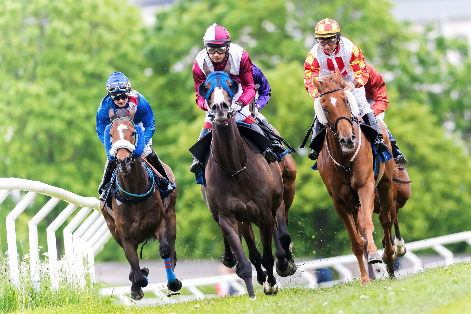 X-rated horse names just being mispronounced, Racing Australia says - NZ  Herald