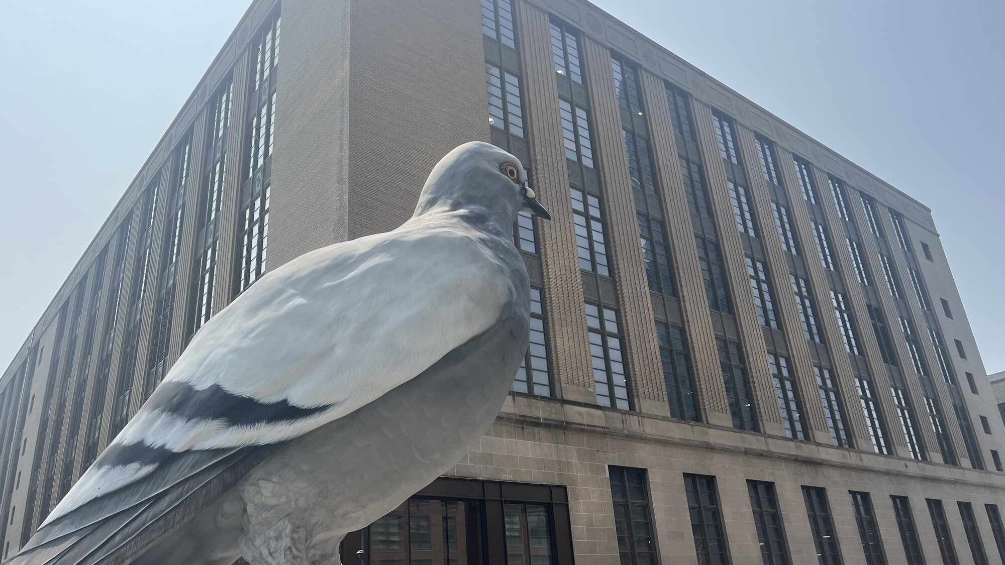 Ira and Sophie meet a giant pigeon.
