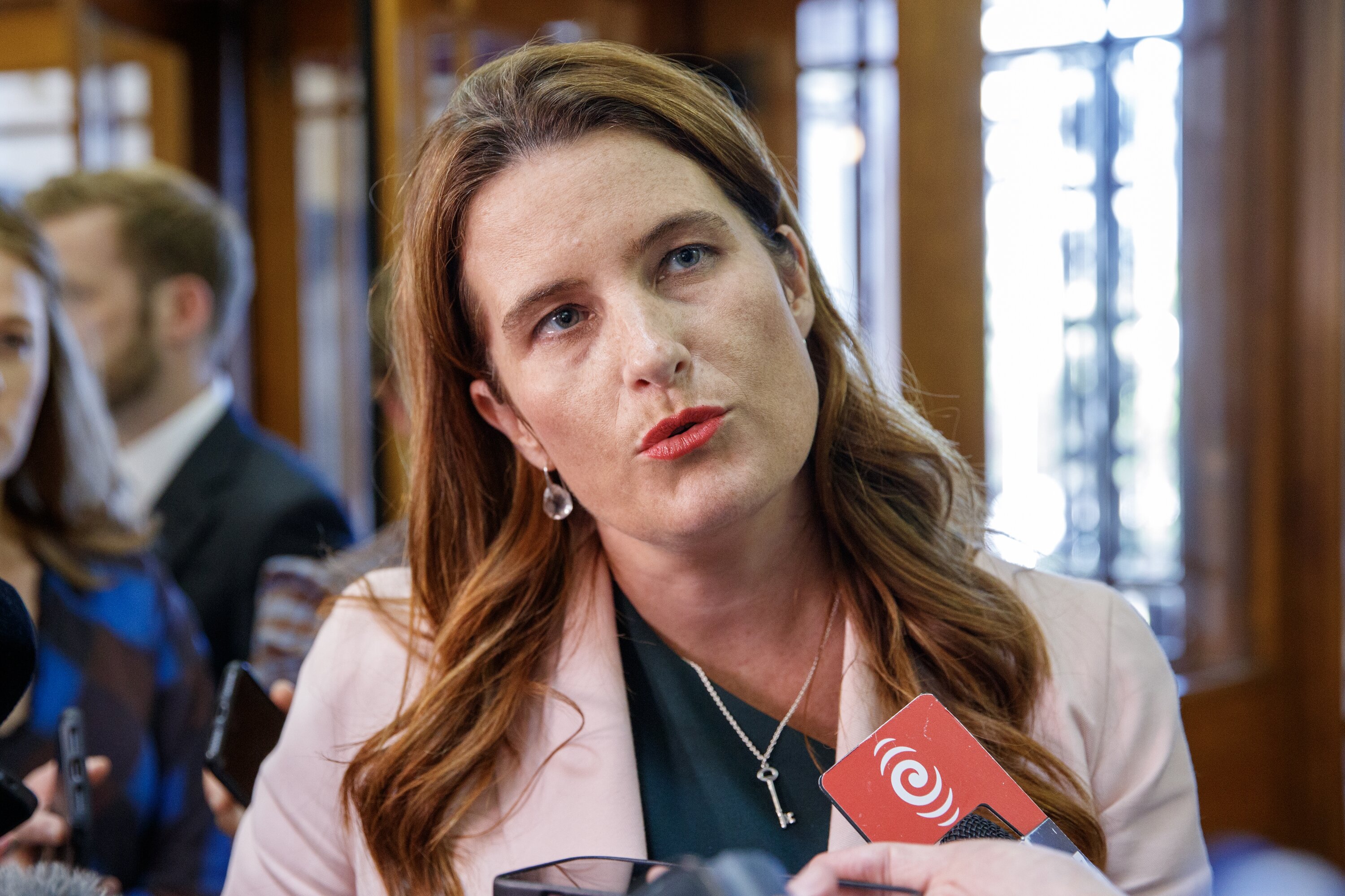 Finance Minister Nicola Willis honours National's pre-election promise to reduce the bright-line test to two years from July. Photo / Mark Mitchell