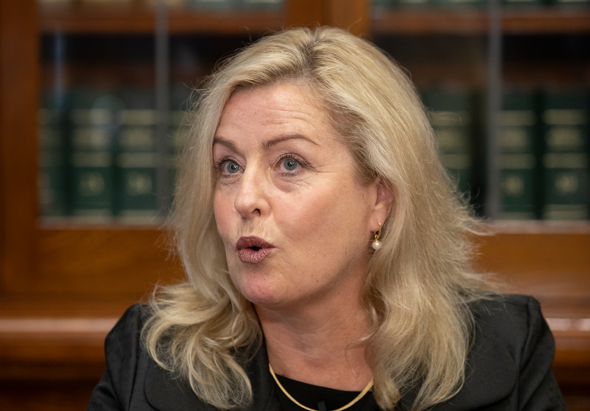 Parliament's Speaker has asked Debbie Francis to look at how the workplace culture has changed since her last review. Photo / Mark Mitchell, File