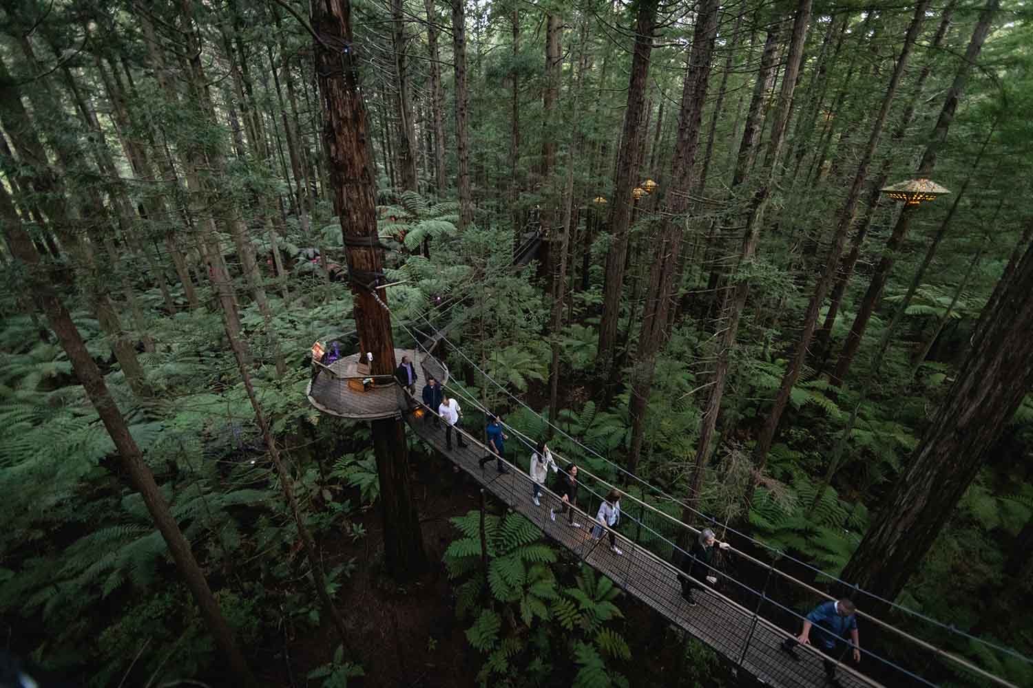 The 700-metre-long eco-tourism walk by Redwoods Treewalk is a magical experience that radiates tranquillity. Photo / Cameron Mackenzie