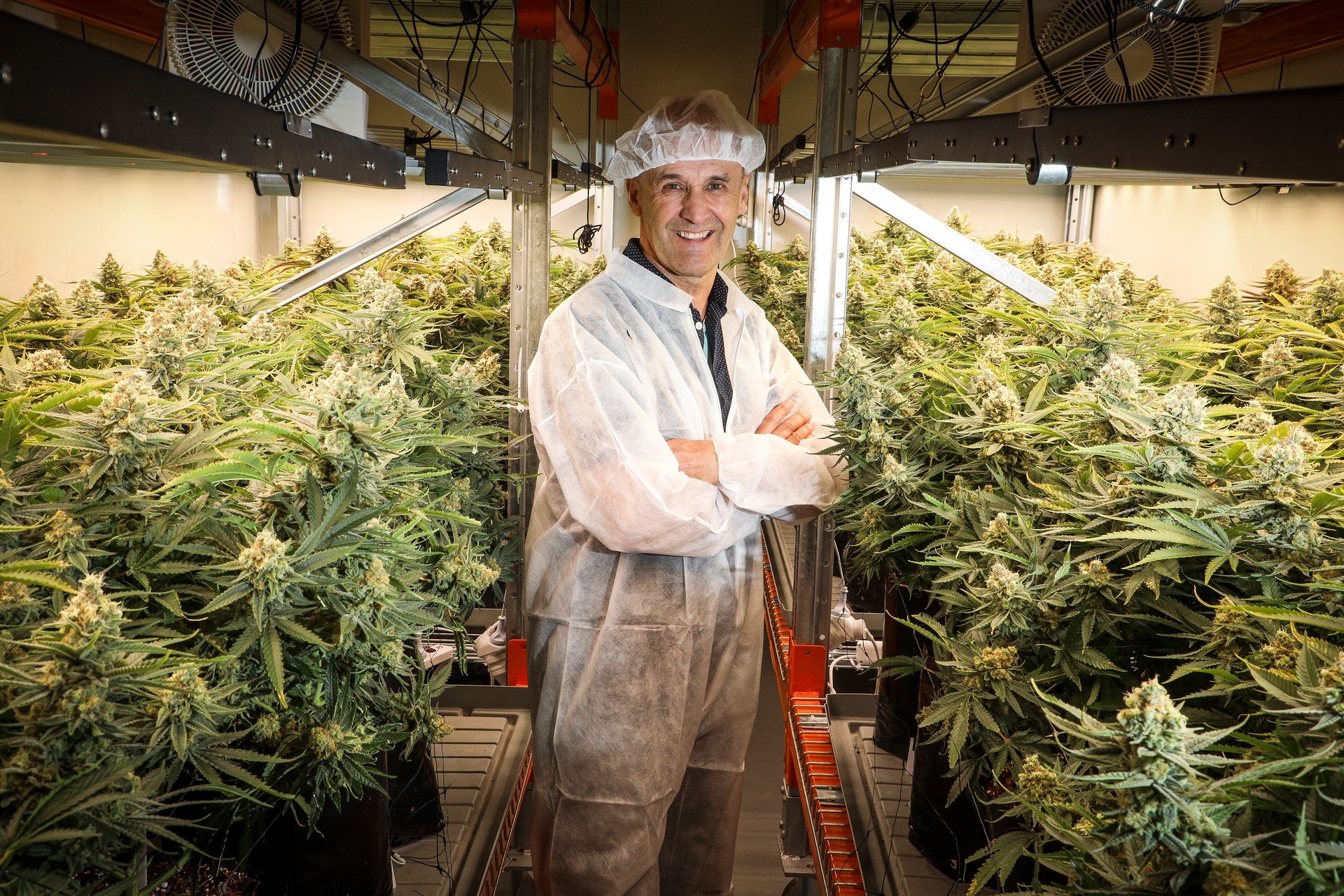 Eqalis managing director Greg Misson at the Eqalis NZ medicinal cannabis research facility in Katikati. Photo / Andrew Warner.