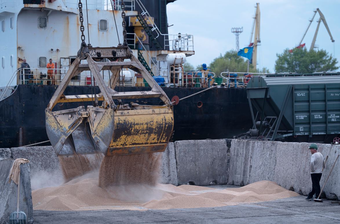 Workers load grain at a grain port in Izmail, Ukraine. Photo / AP