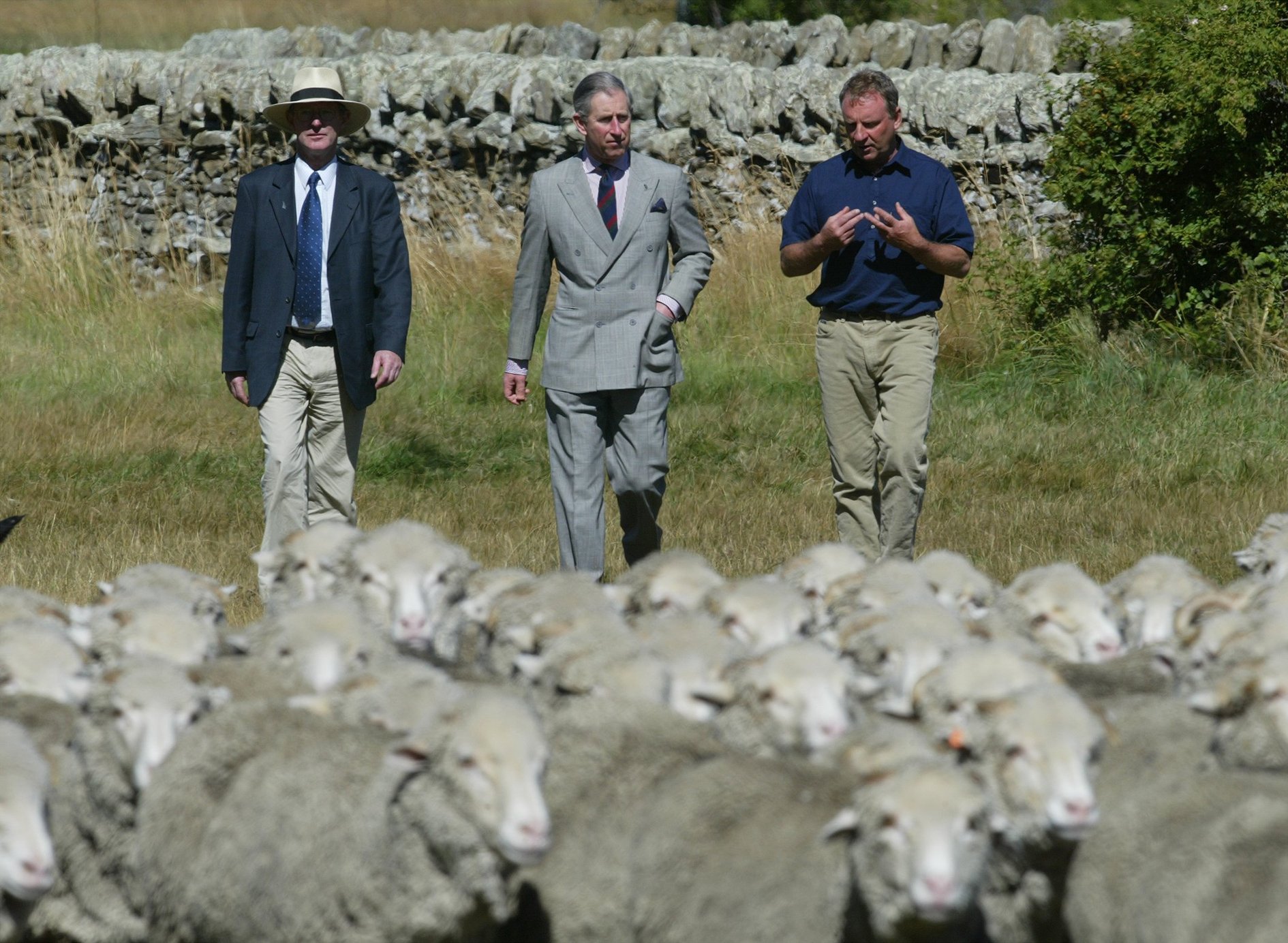 The then Prince Charles follows a flock of Merino sheep at Moutere Station near Alexandra during his 2005 tour here. Photo / Mark Mitchell
