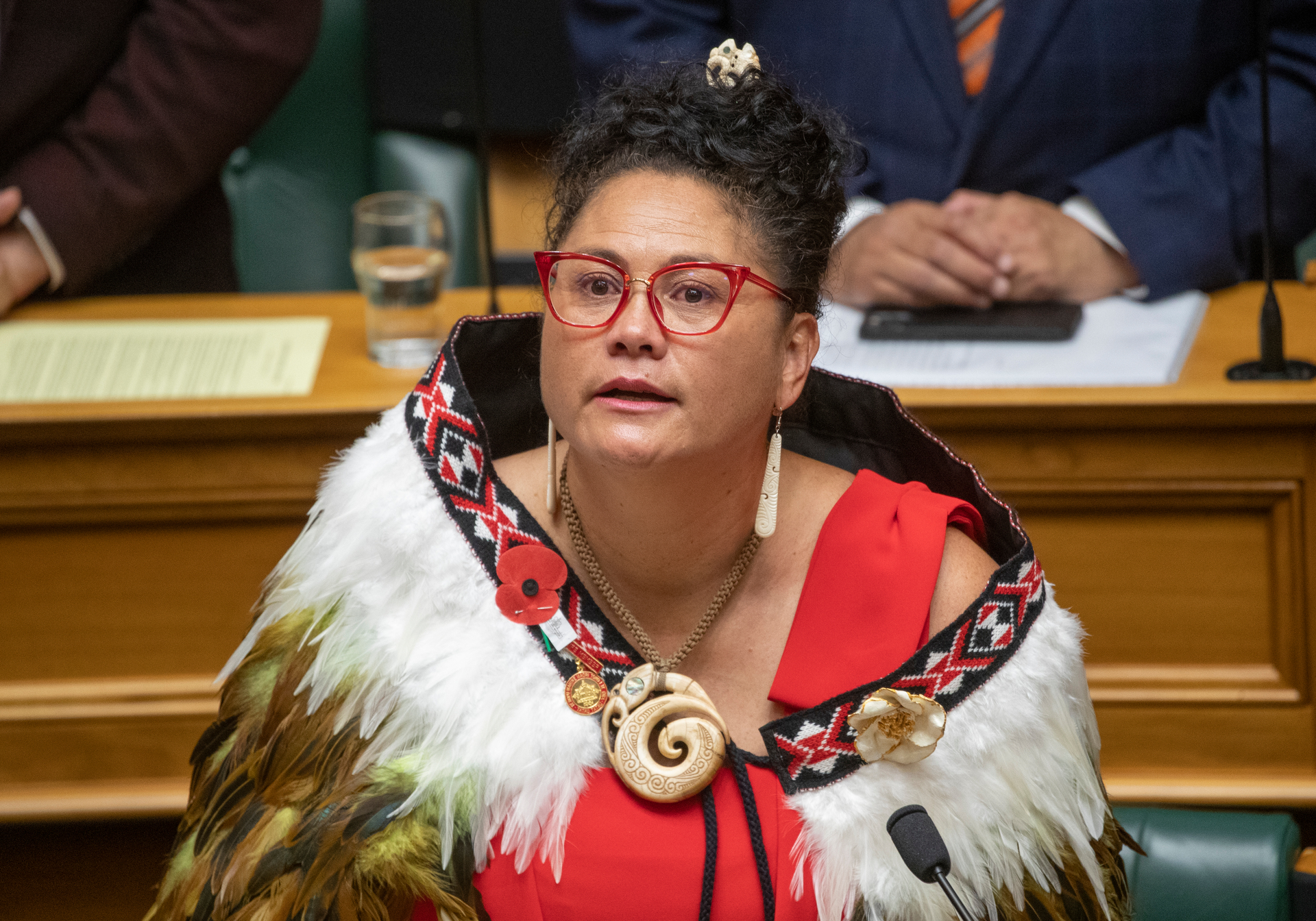 Louisa Wall giving her valedictory speech in Parliament in April this year. Photo / Mark Mitchell