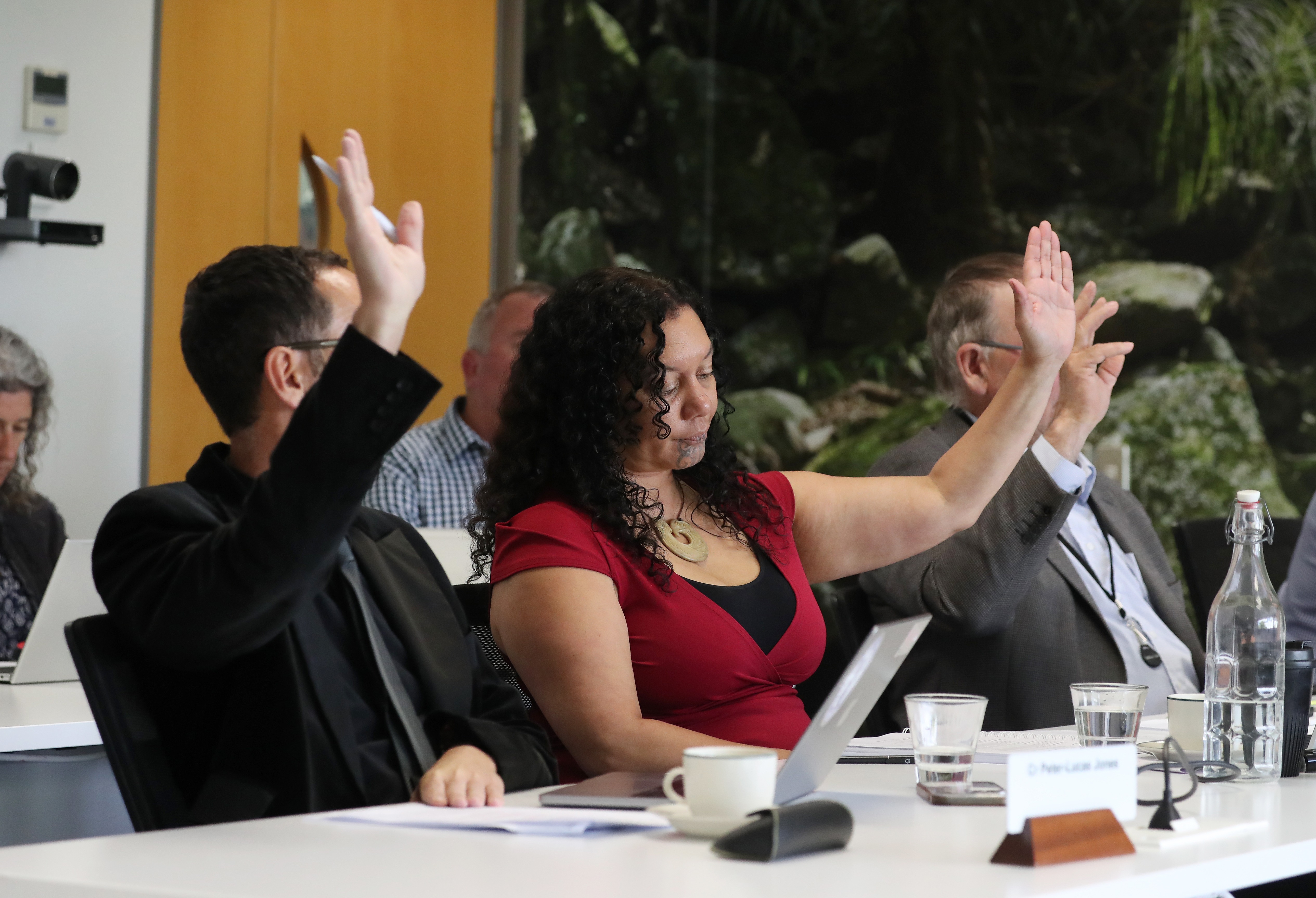 Former Northland Regional Council chair Tui Shortland at Tuesday's meeting. Photo / Michael Cunningham