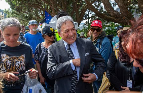 One of Winston Peters' three recent court victories was over the rescinded trespass order after he visit the occupation at Parliament. Photo /  Mark Mitchell