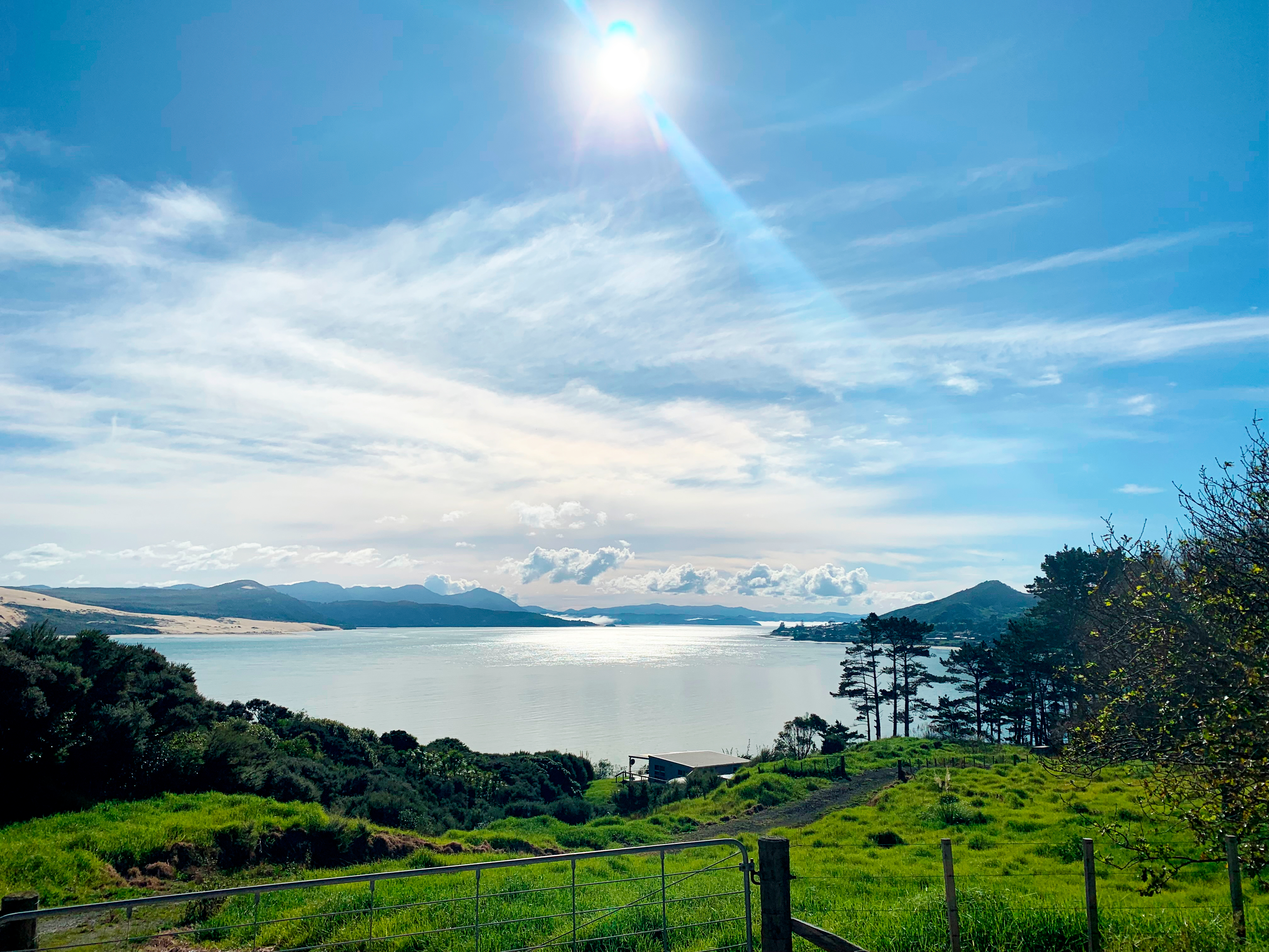 The view over Hokianga Harbour. Photo / Ruth Brown