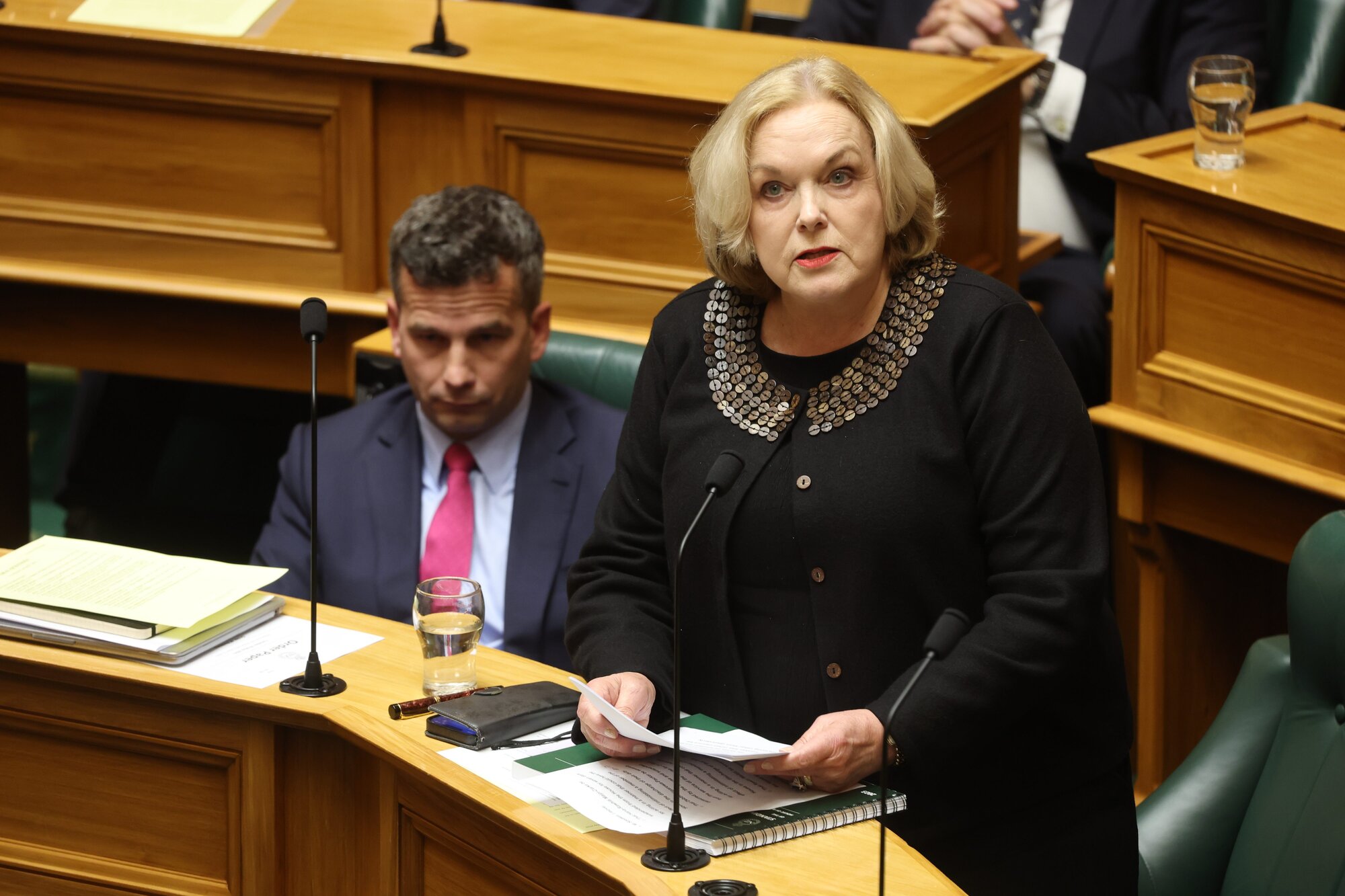 National's Judith Collins chaired the Privileges Committee. Photo / Mark Mitchell 