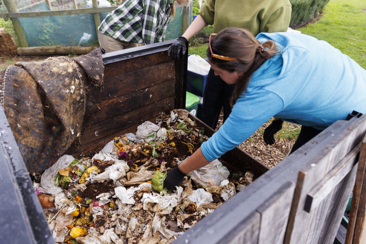  PLA can only break down in certain conditions which are found at commercial compost facilities that reach temperatures of up to 70 degrees. Photo / Supplied