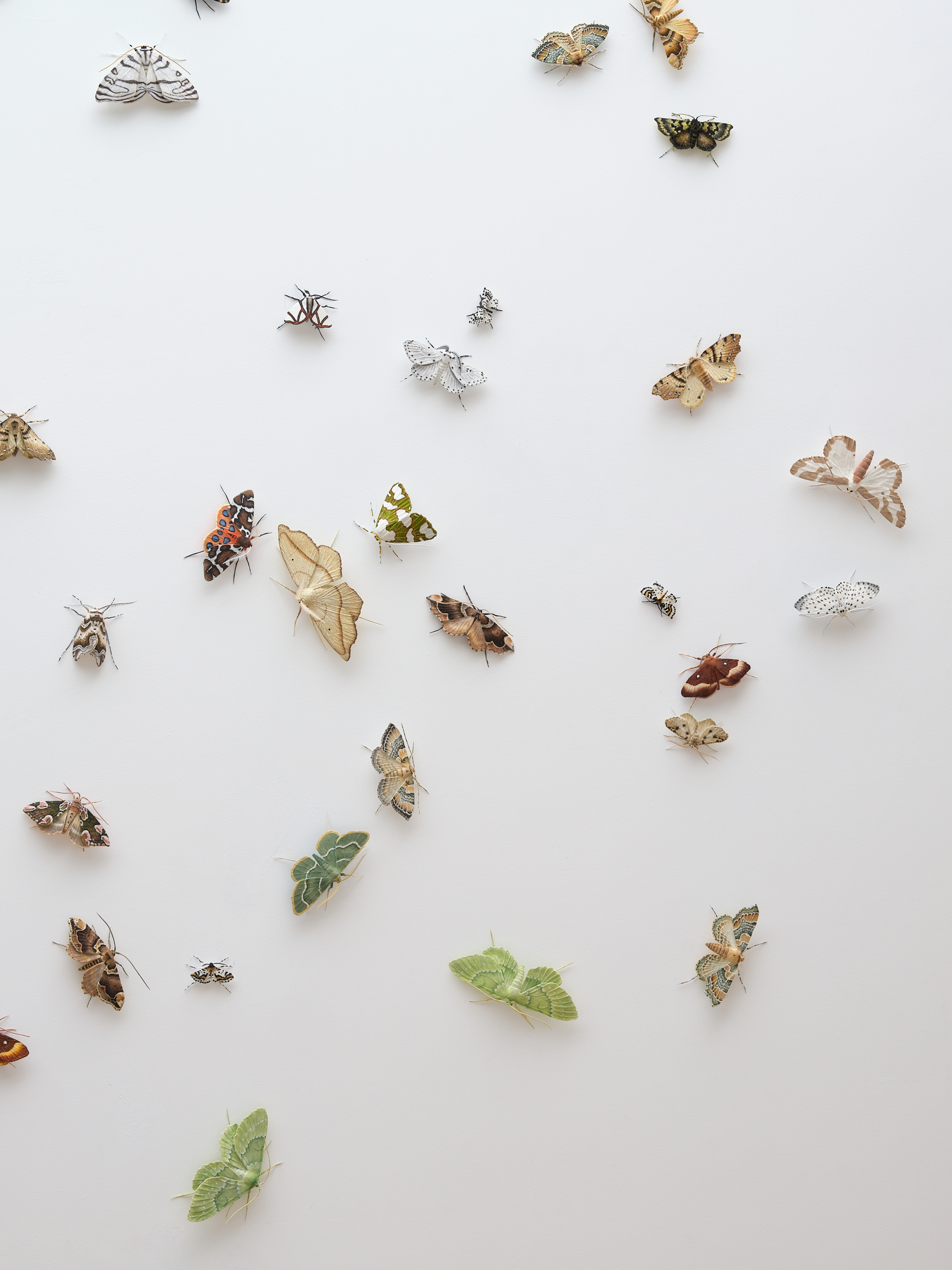 Elizabeth Thomson, 'Moths', 2014-2020, hand-painted cast bronze, size variable. Photo / Courtesy of the artist and Two Rooms Gallery 