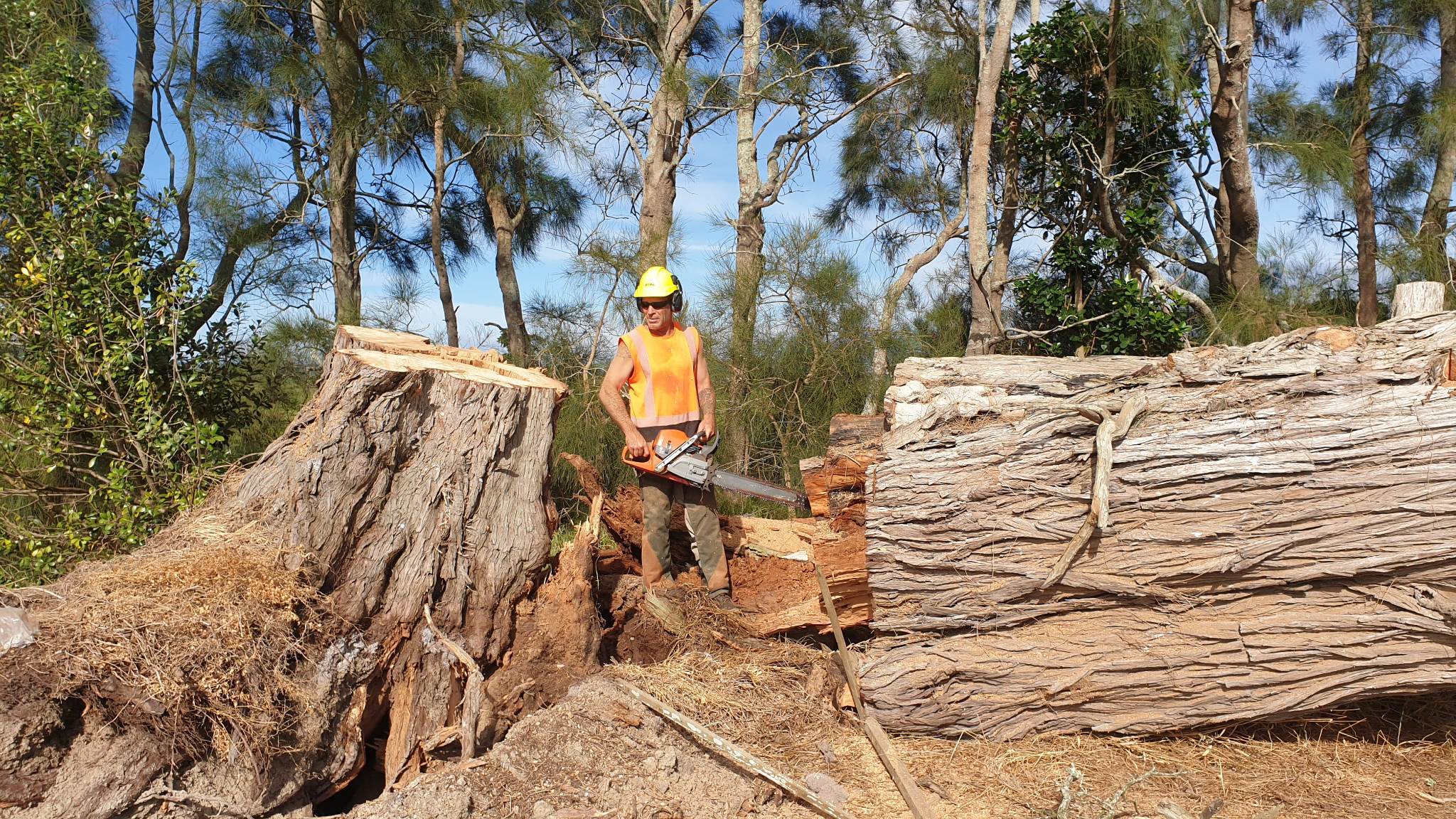 Verran Hita chainsawing a tree brought down by Cyclone Gabrielle. Photo / Te Roroa