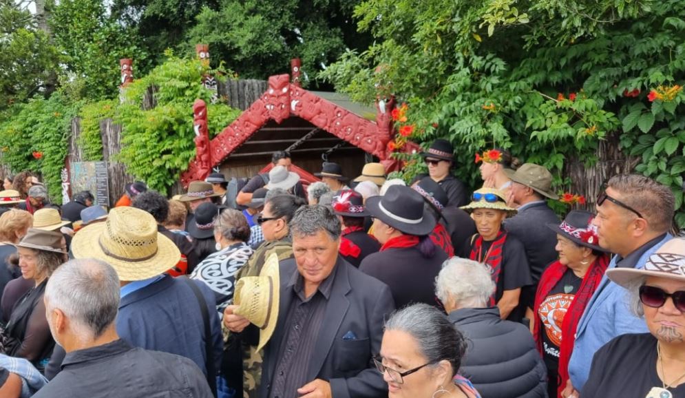 An estimated 10,000 people turned up for the hui-ā-motu at Turangawaewae on January 20. Photo / RNZ