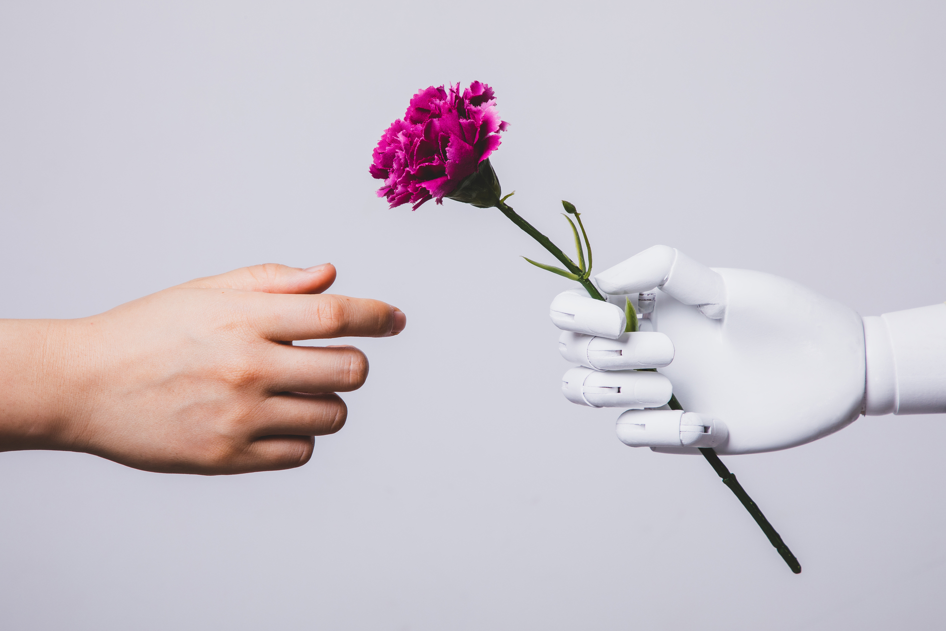 Image / Getty Creative
