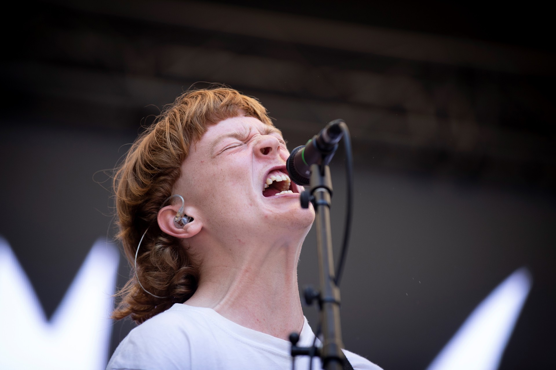 The Chats inspired the day's first moshpit moment. Photo / Dean Purcell, New Zealand Herald