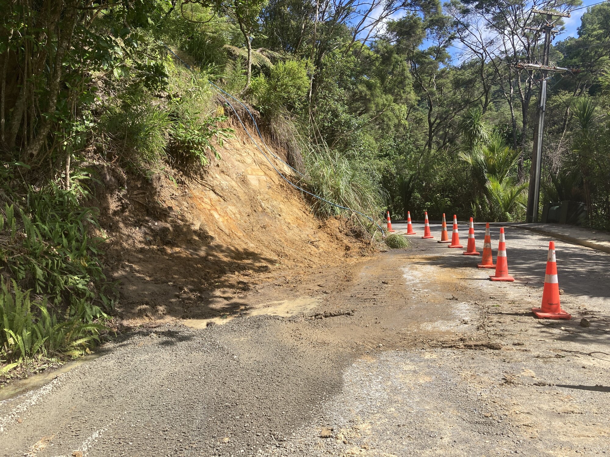 The slip on council road reserve land adjoining Rachael Feather's Titirangi home.