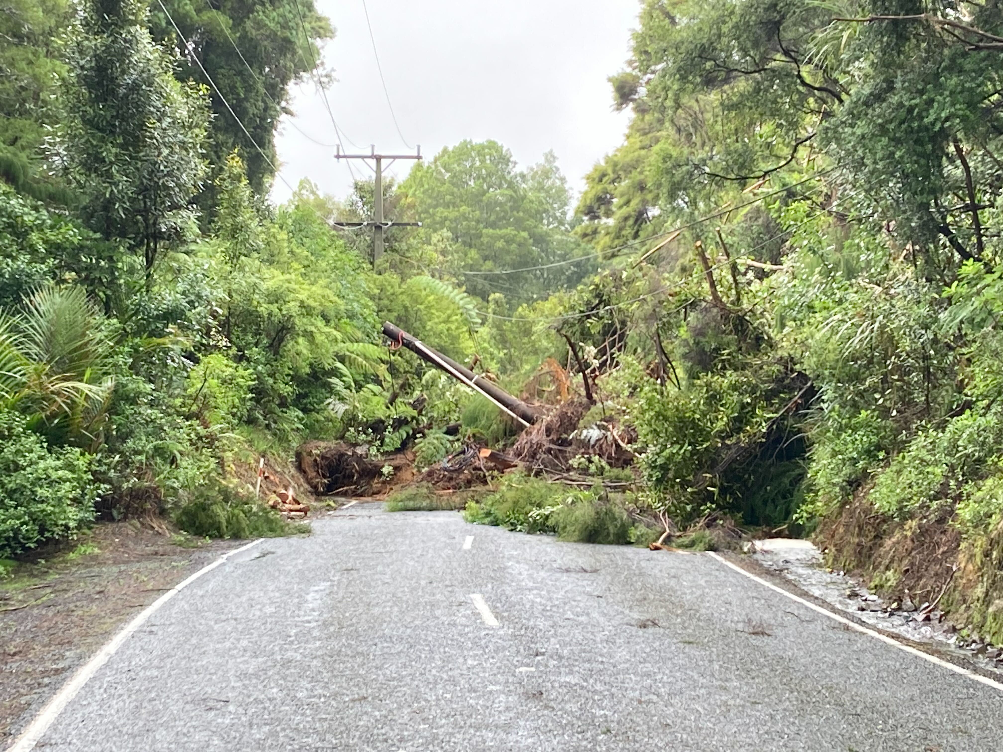 A slip has brought down large trees and power poles on Scenic Drive near Swanson. Photo / Isaac Davison
