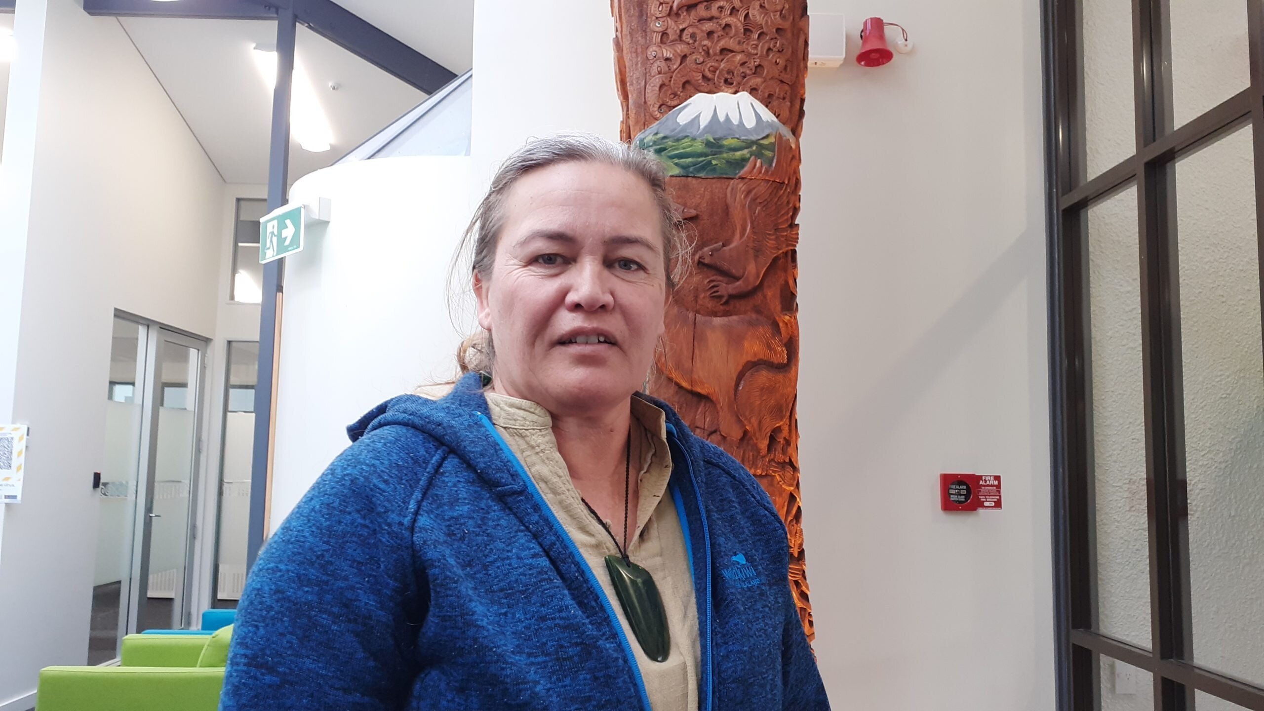 RuapehudDistrict councillor Fiona Kahukura Hadley-Chase believes the move made “a mockery of democracy”. Photo / LDR