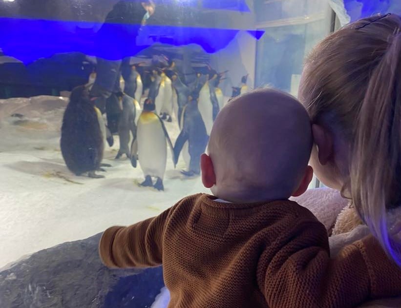 The penguins at Kelly Tarlton's Sea Life Aquarium captivate every age. Photo / Anna Sarjeant