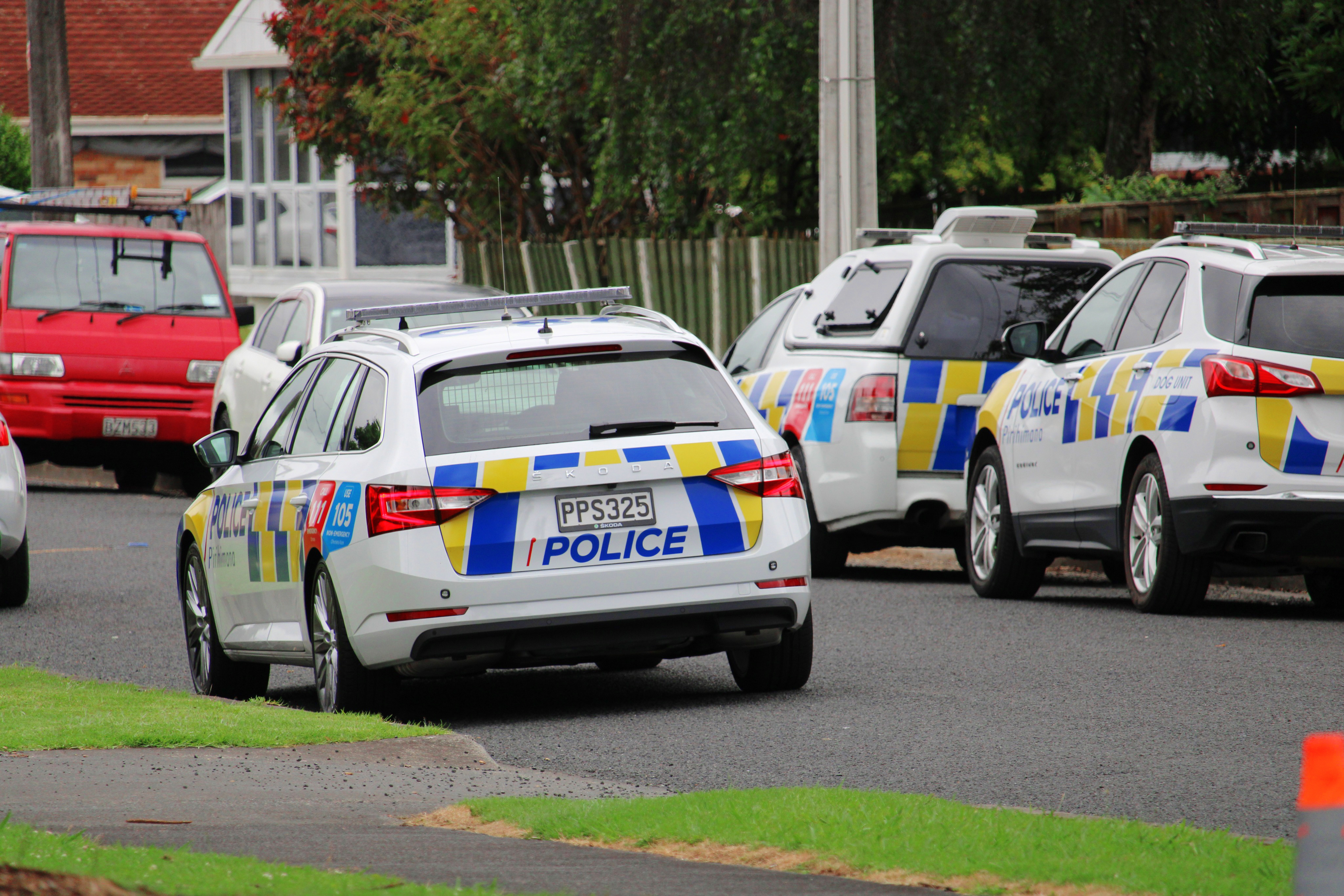 Police vehicles parked on Edorvale Rd.  Photo / Supplied.