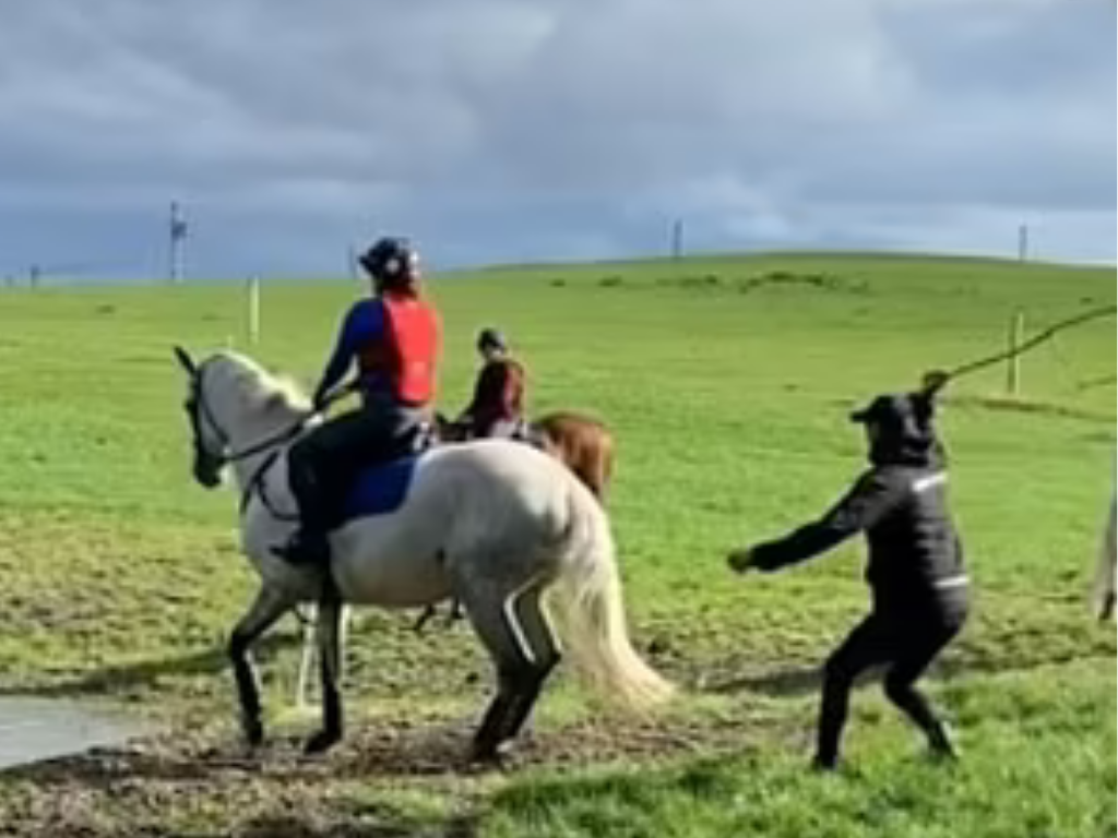 Video footage, which is believed to be two years old and has now resurfaced on social media, allegedly shows Sir Mark Todd repeatedly smacking a horse with a stick. Photo / Tik Tok.