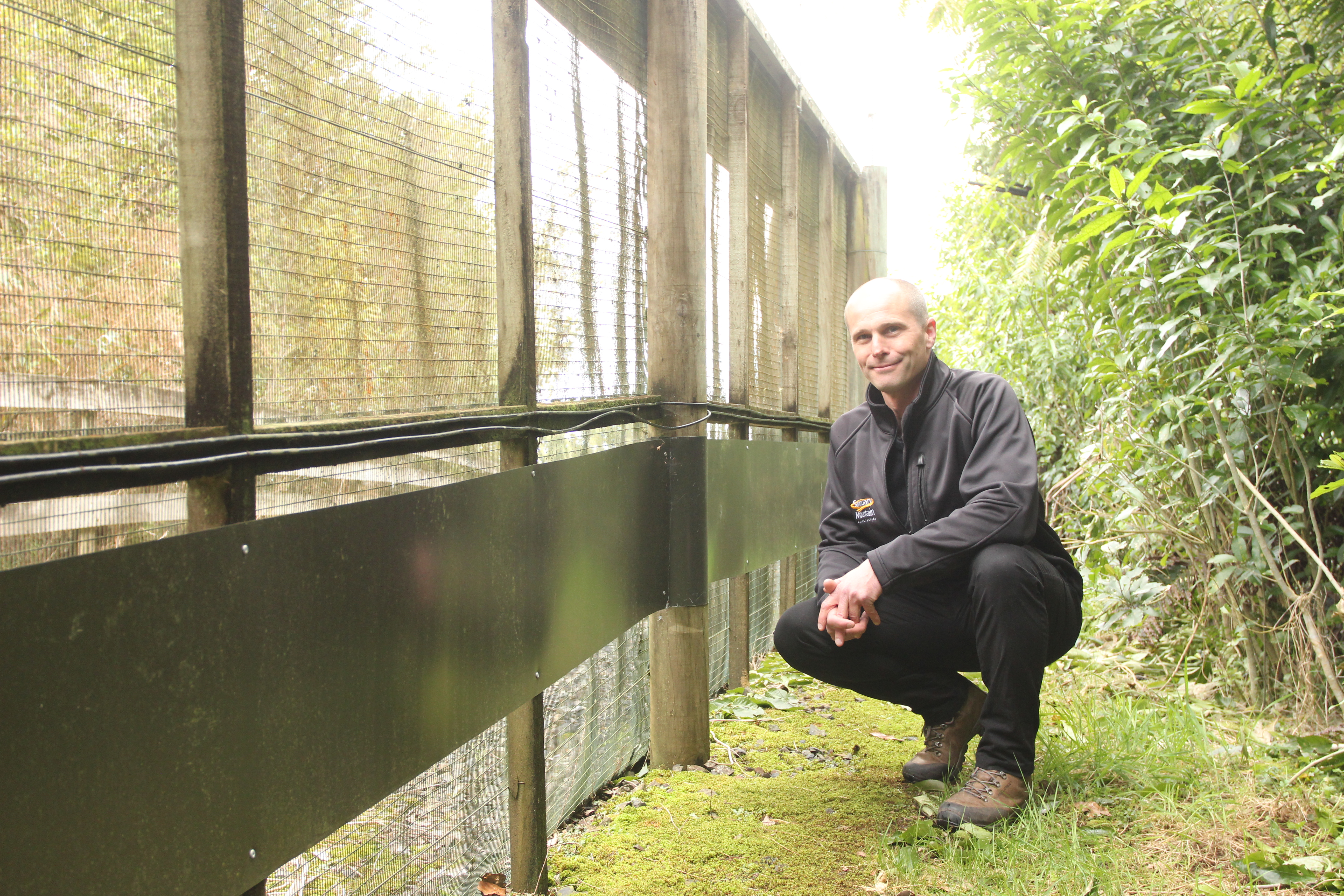 Sanctuary Mountain Maungatautari biodiversity ranger Dan Howie pictured with the kākāpō fence modification. The sheet of stainless steel is set to prevent the birds from climbing out. Photo / Danielle Zollickhofer
